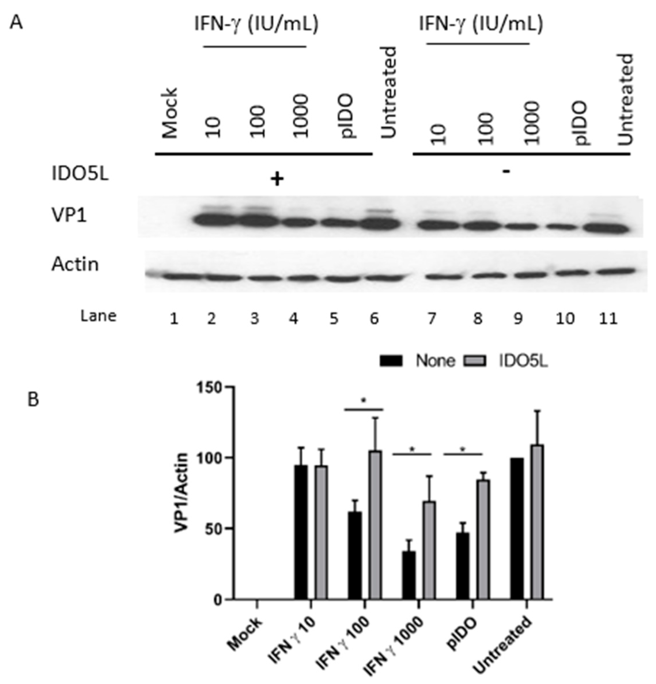 Viruses 12 00865 g005