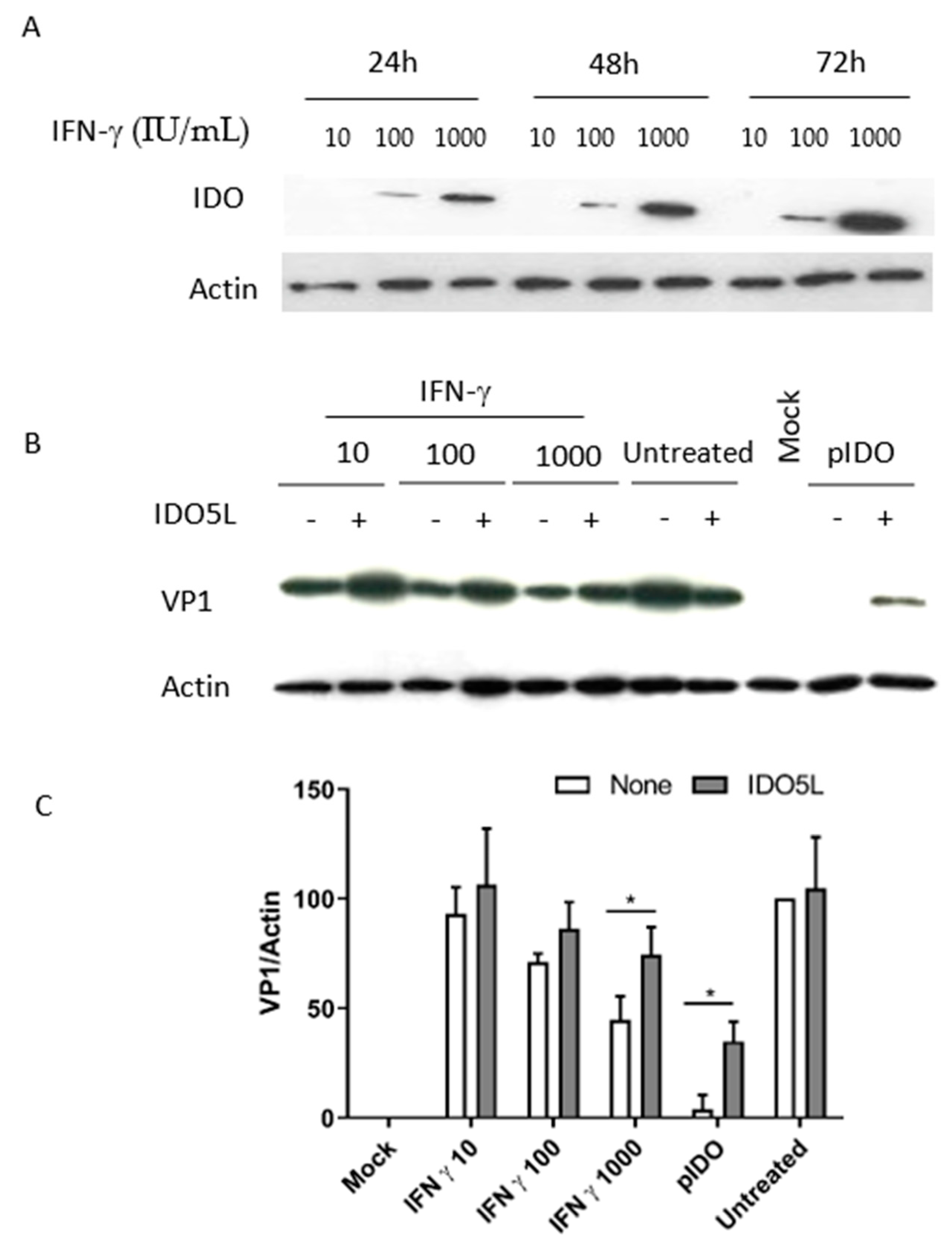 Viruses 12 00865 g006