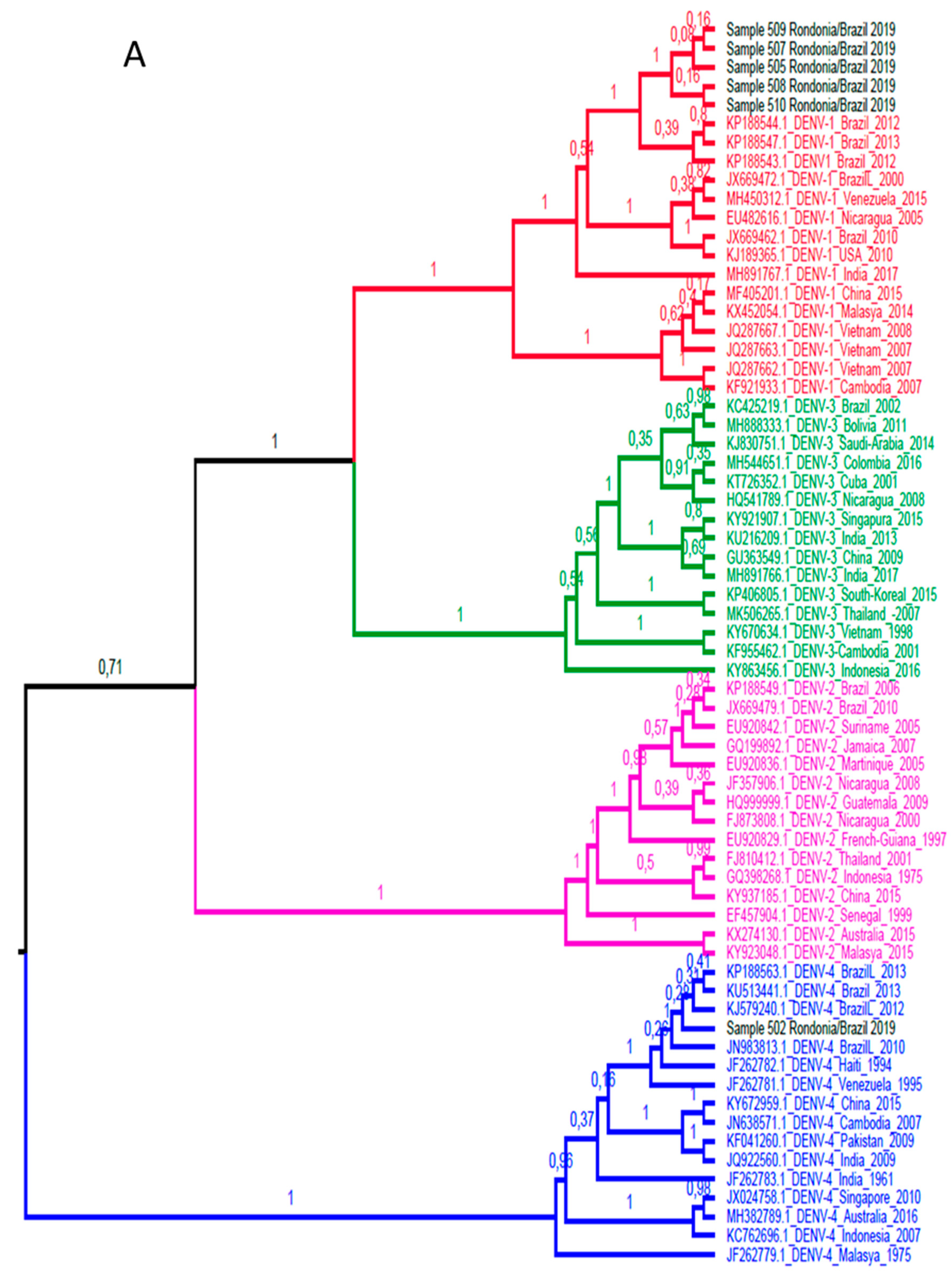 Viruses 12 00889 g002a Viruses 12 00889 g002a