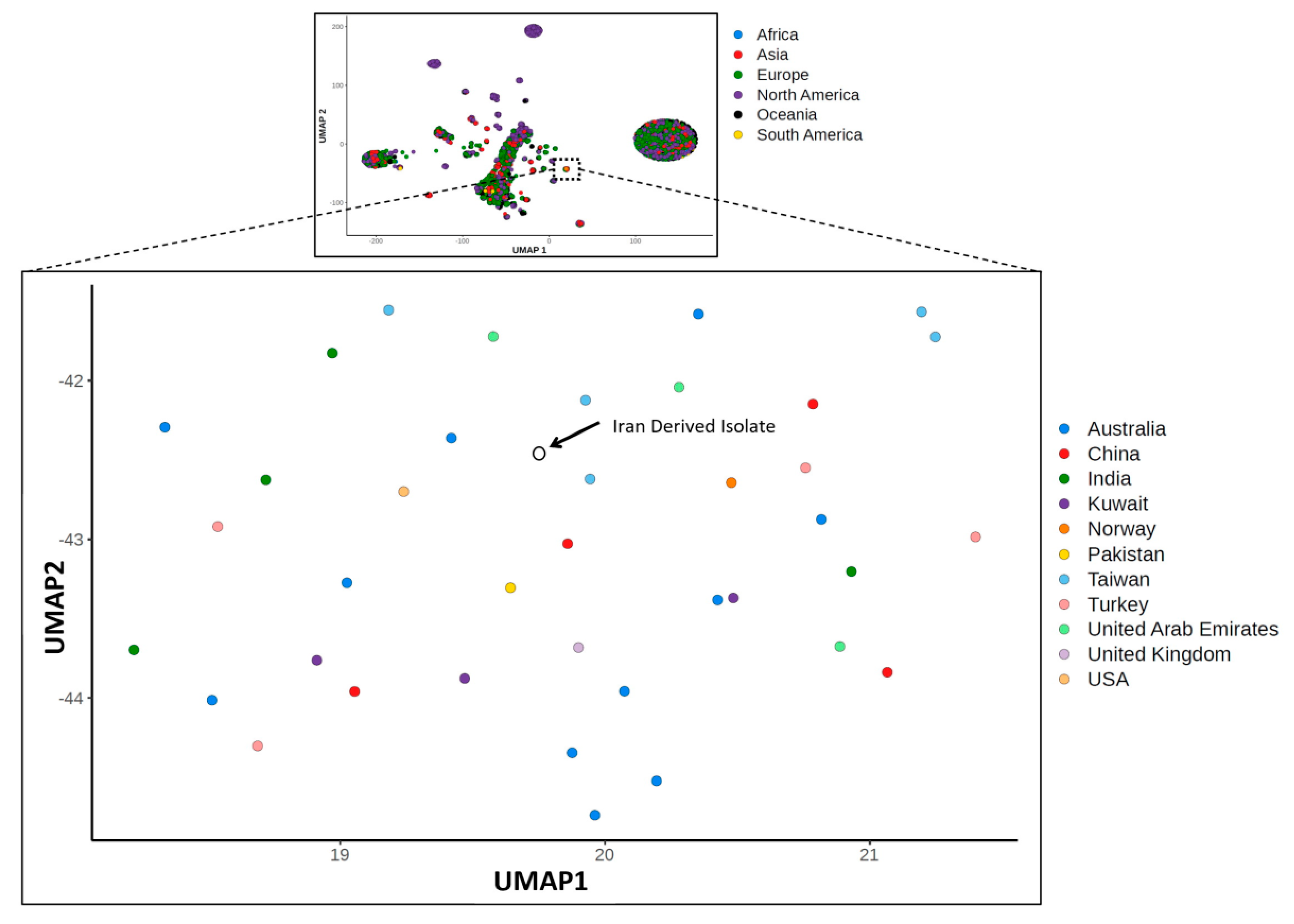 Viruses 12 00895 g003 Viruses 12 00895 g003