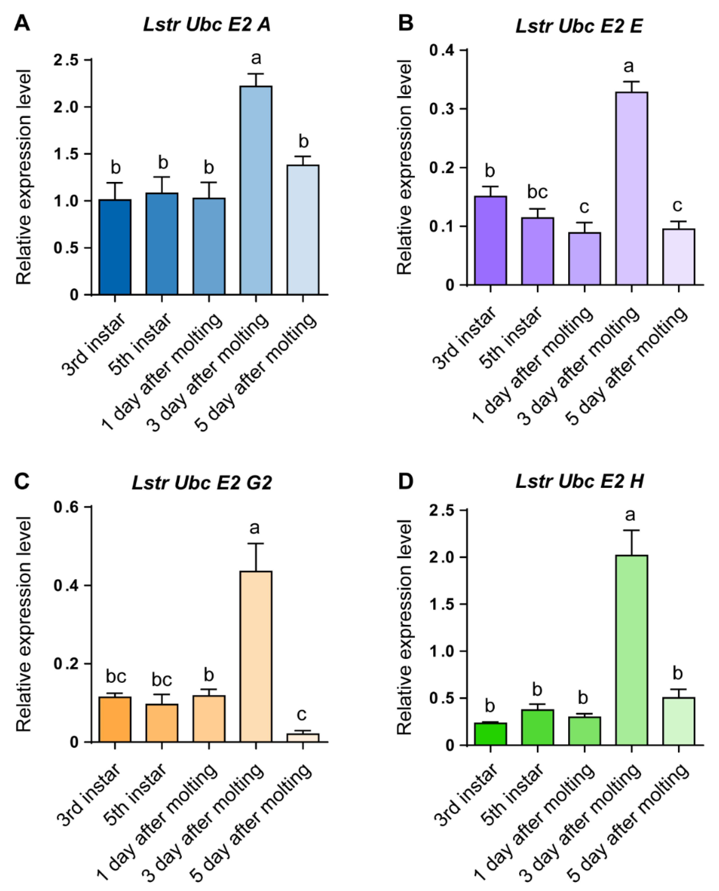 Viruses 12 00908 g004 Viruses 12 00908 g004
