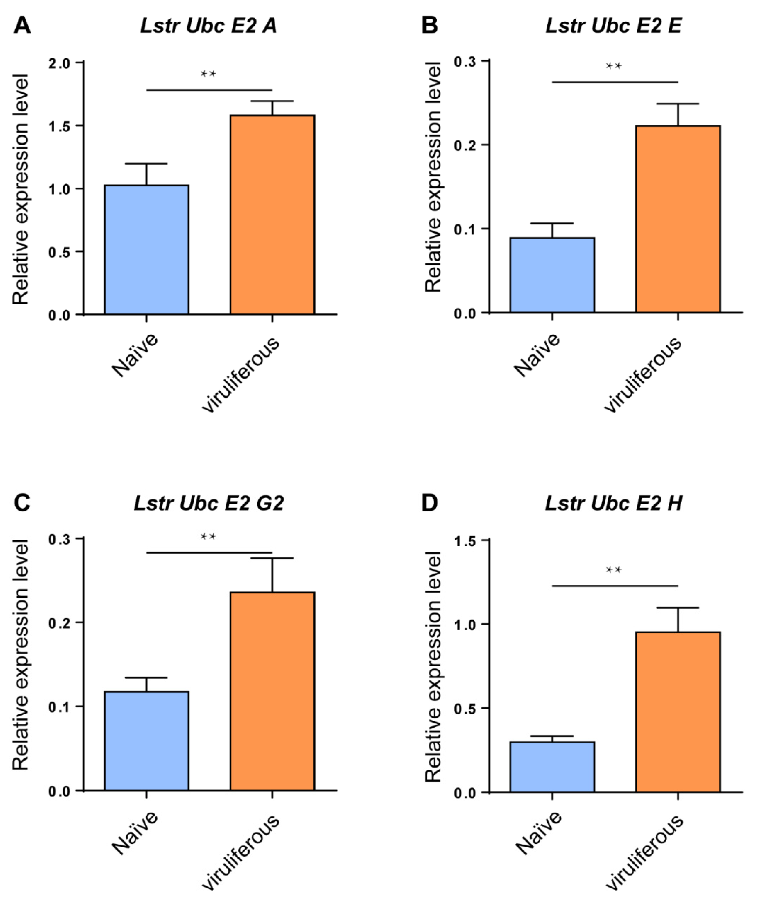 Viruses 12 00908 g005 Viruses 12 00908 g005