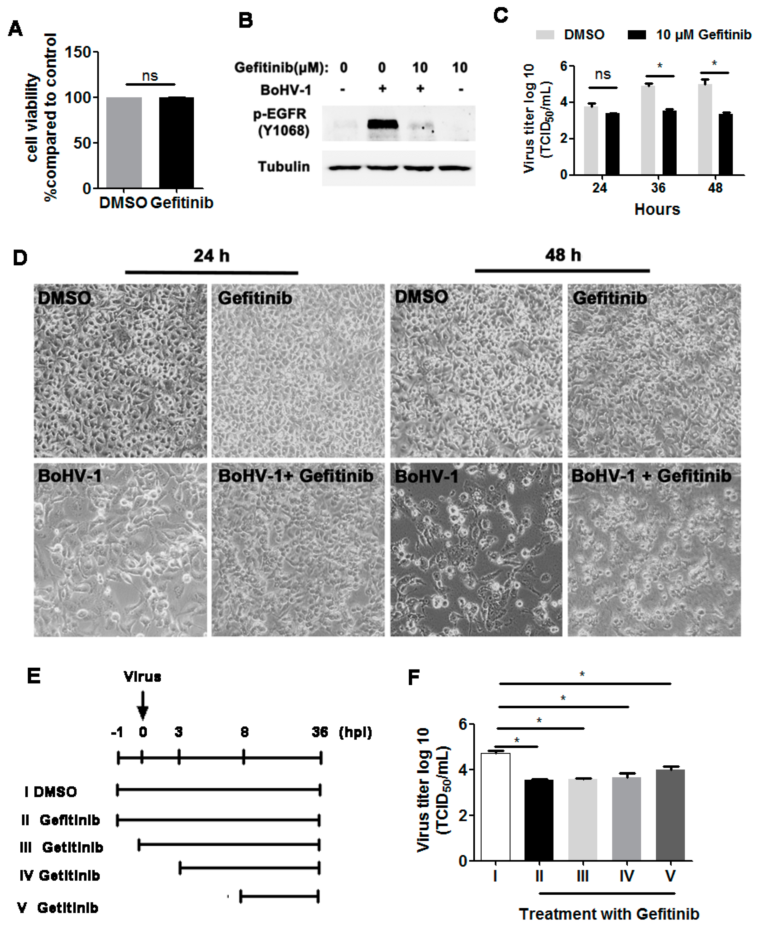 Viruses 12 00927 g003 Viruses 12 00927 g003