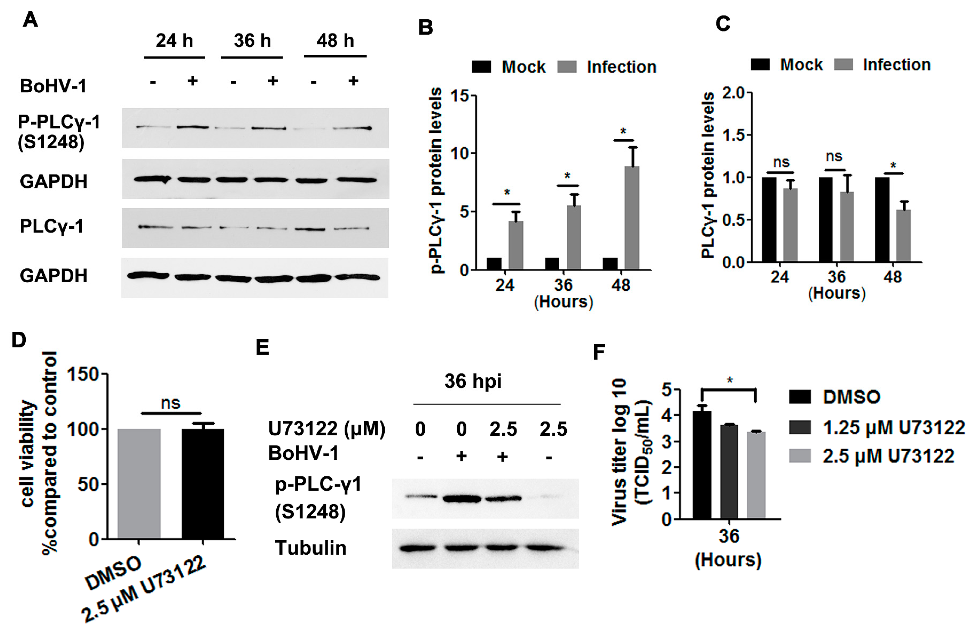 Viruses 12 00927 g005 Viruses 12 00927 g005