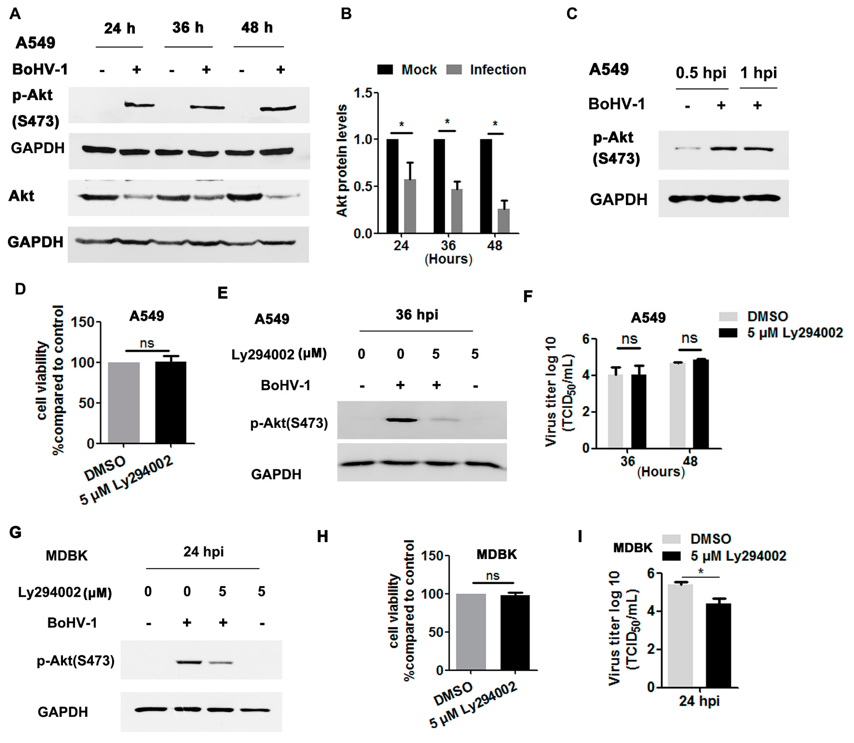 Viruses 12 00927 g007 Viruses 12 00927 g007