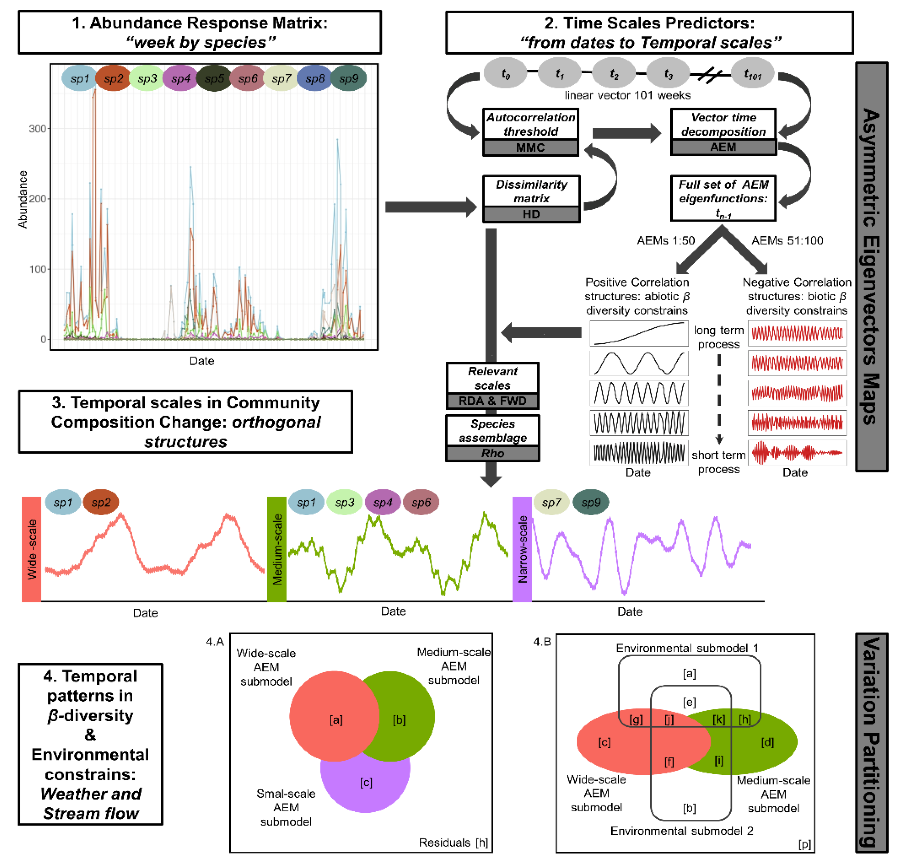 Viruses 12 00931 g001