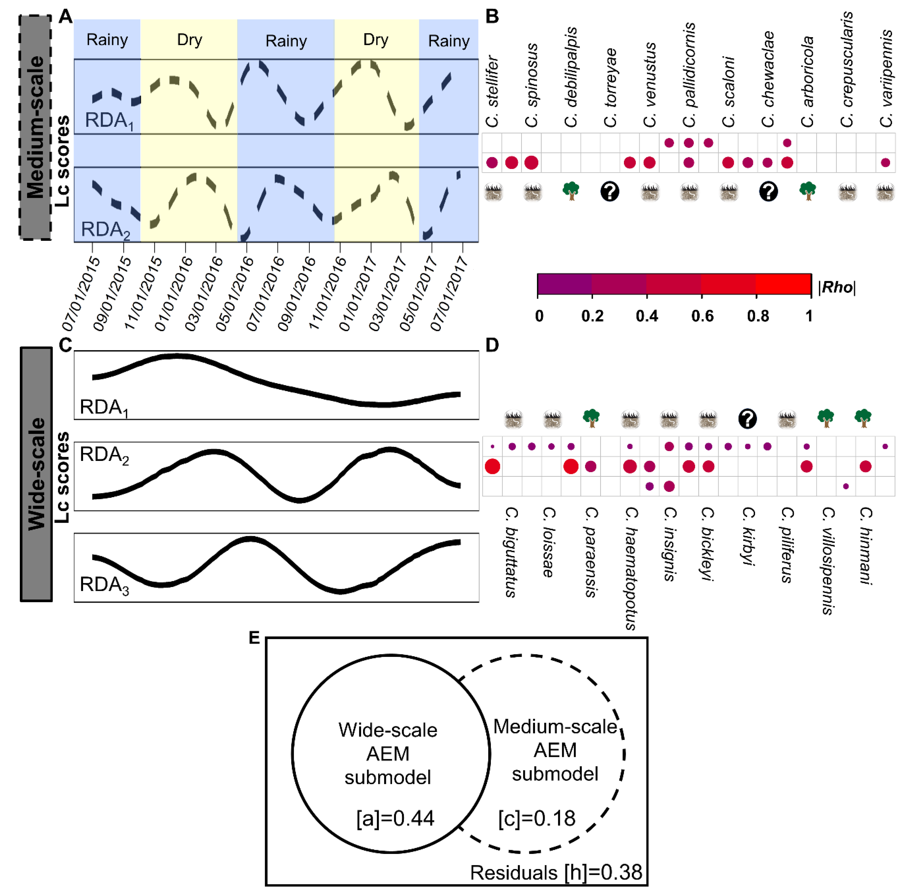 Viruses 12 00931 g002