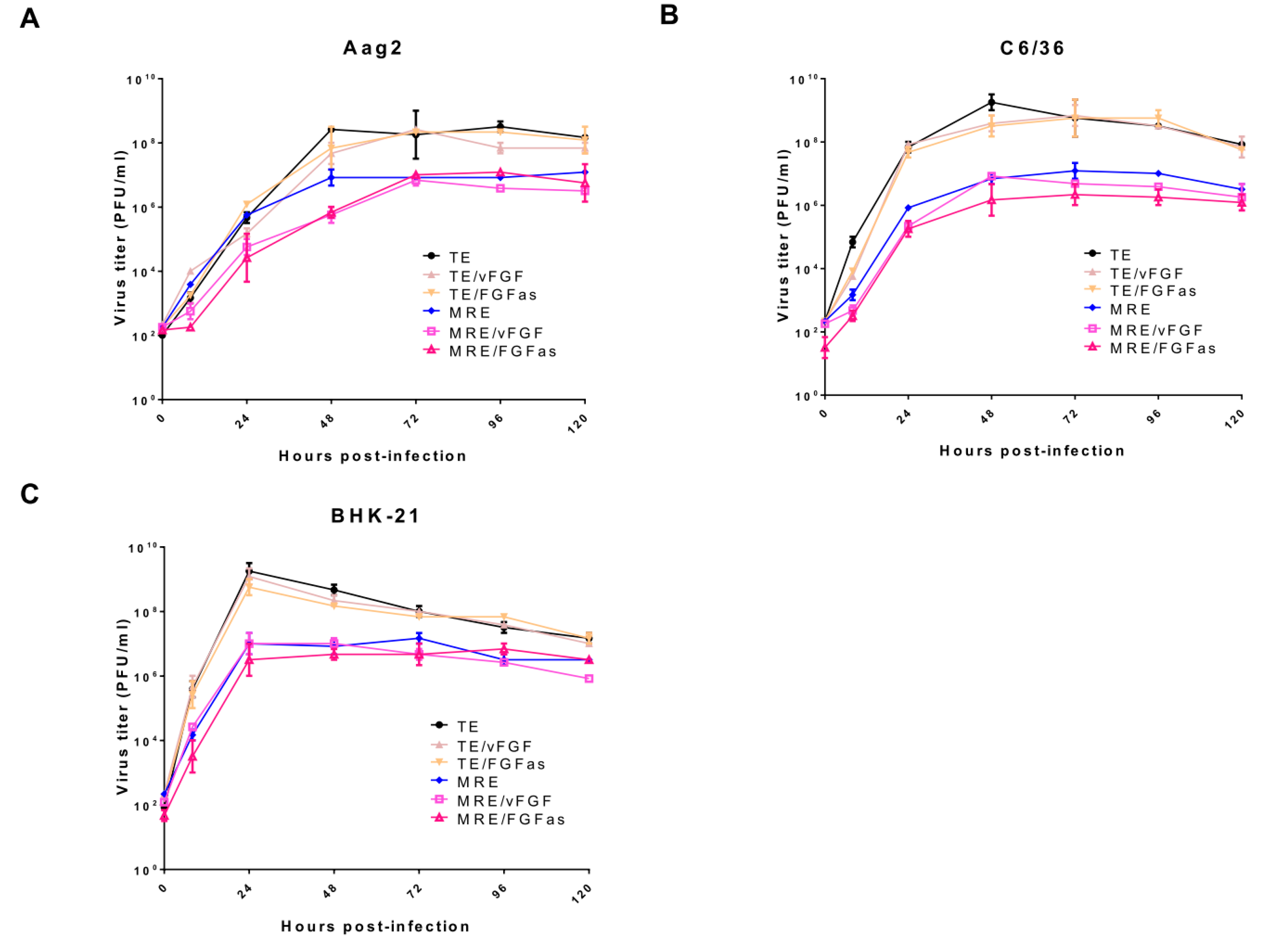 Viruses 12 00943 g004