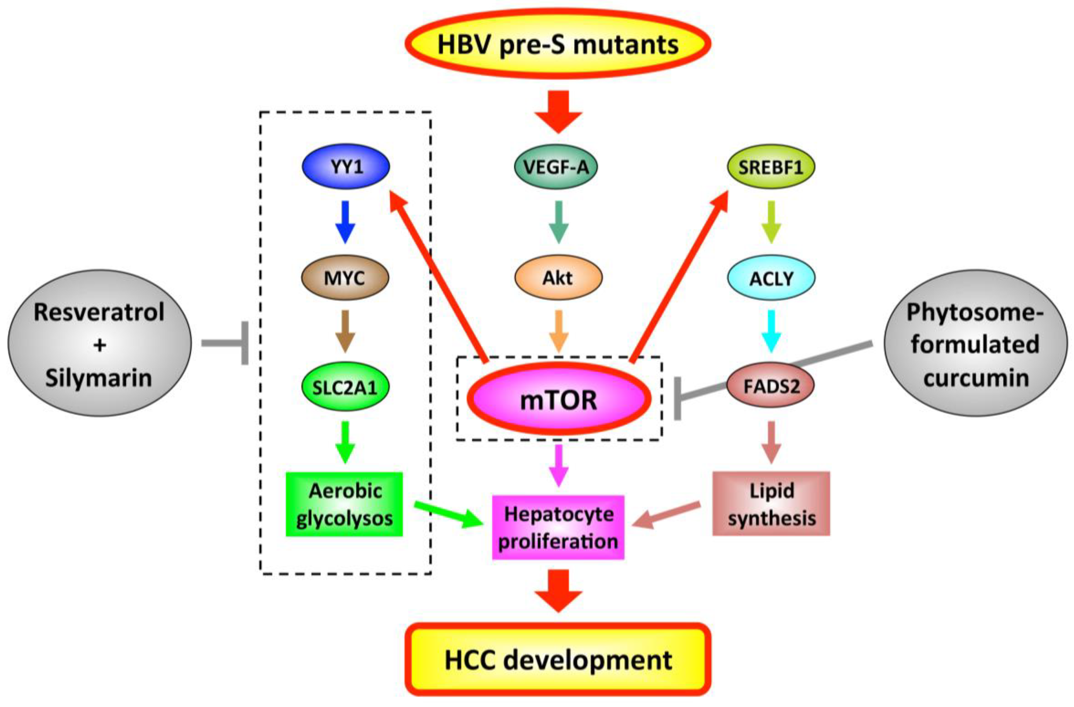 Viruses 12 00945 g001