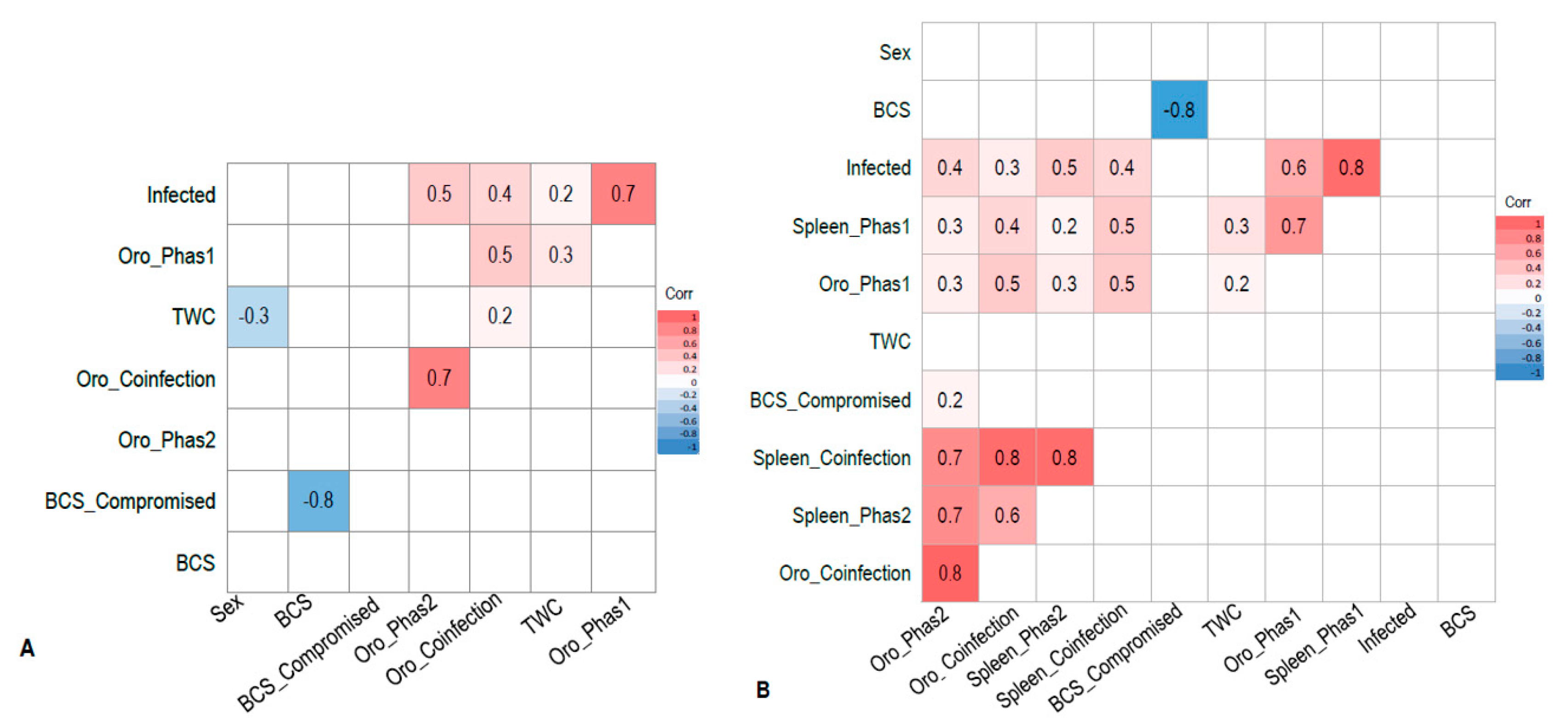 Viruses 12 00948 g001