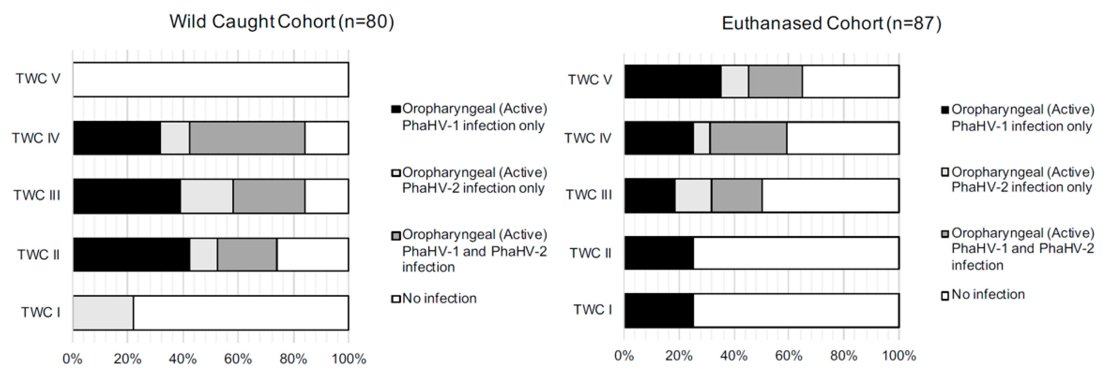 Viruses 12 00948 g002