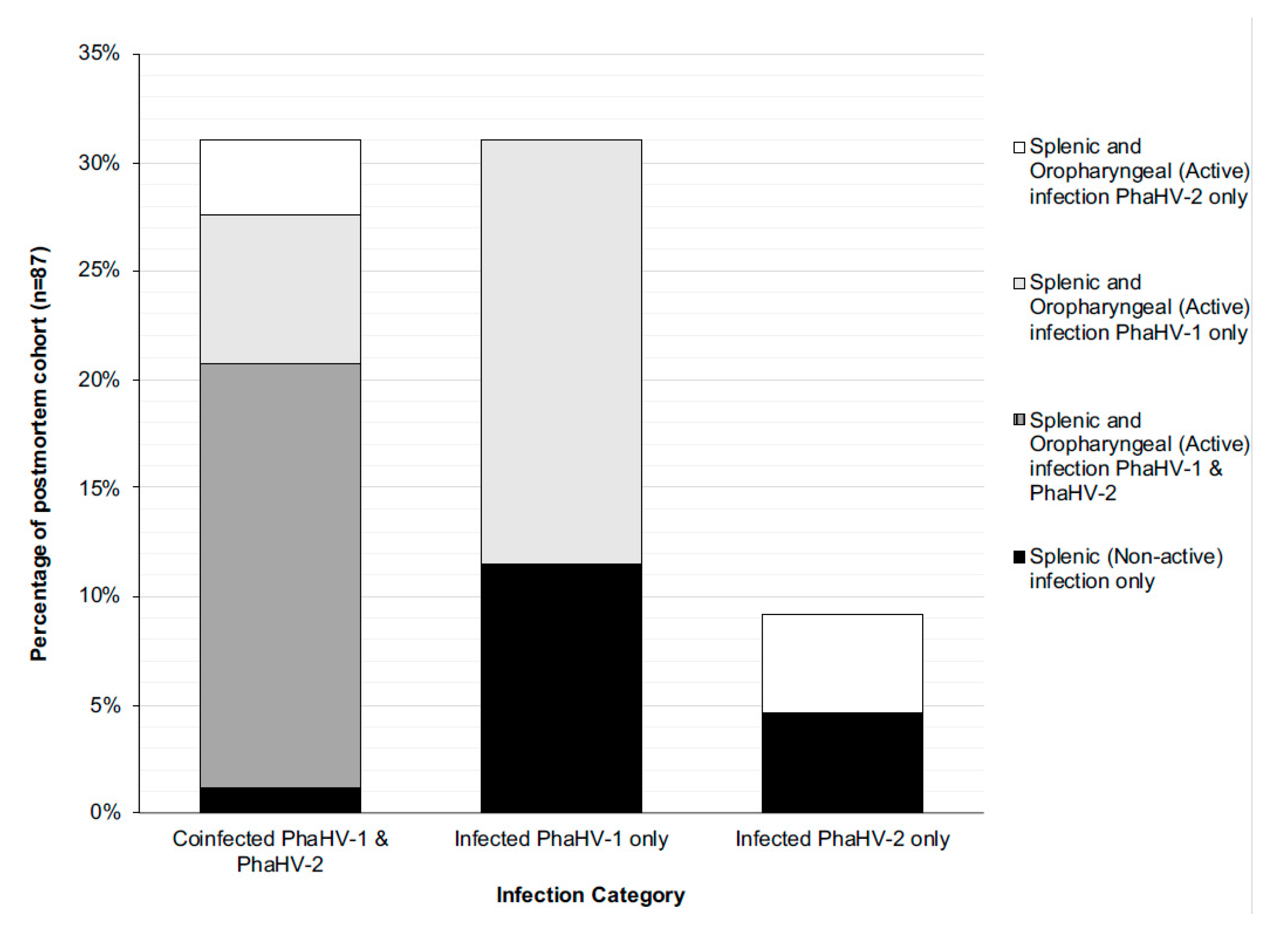 Viruses 12 00948 g003