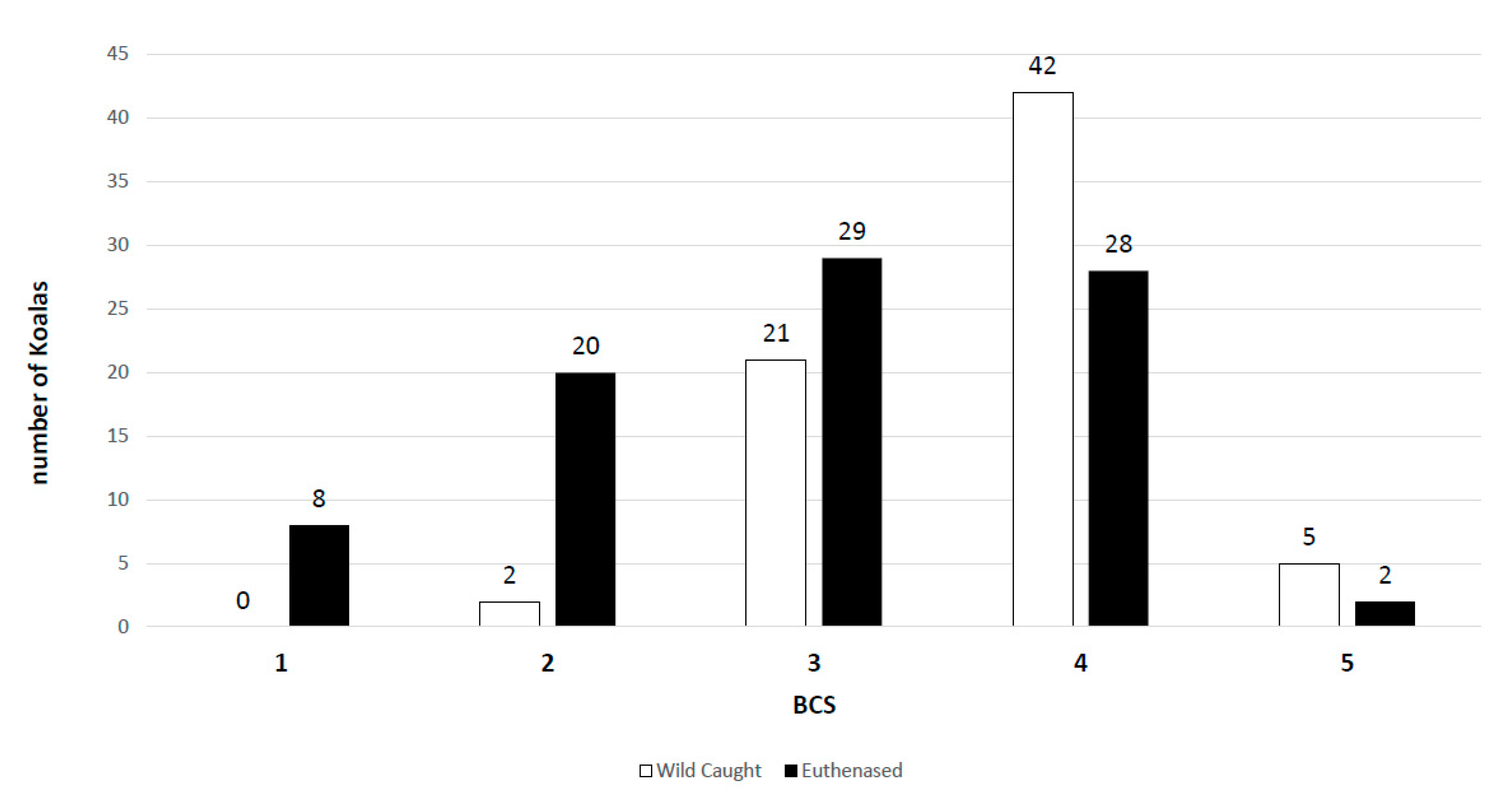 Viruses 12 00948 g004