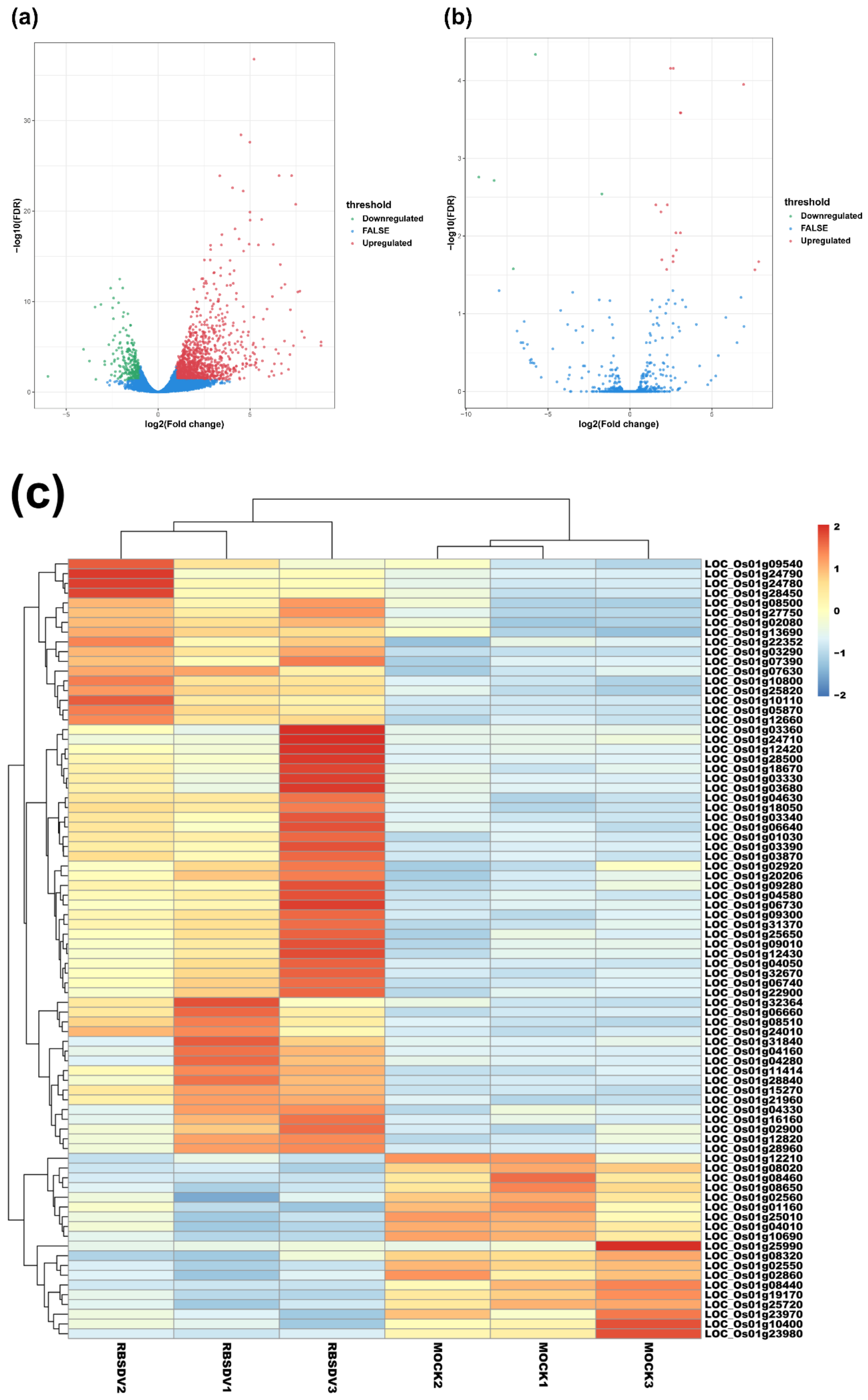Viruses 12 00951 g001a