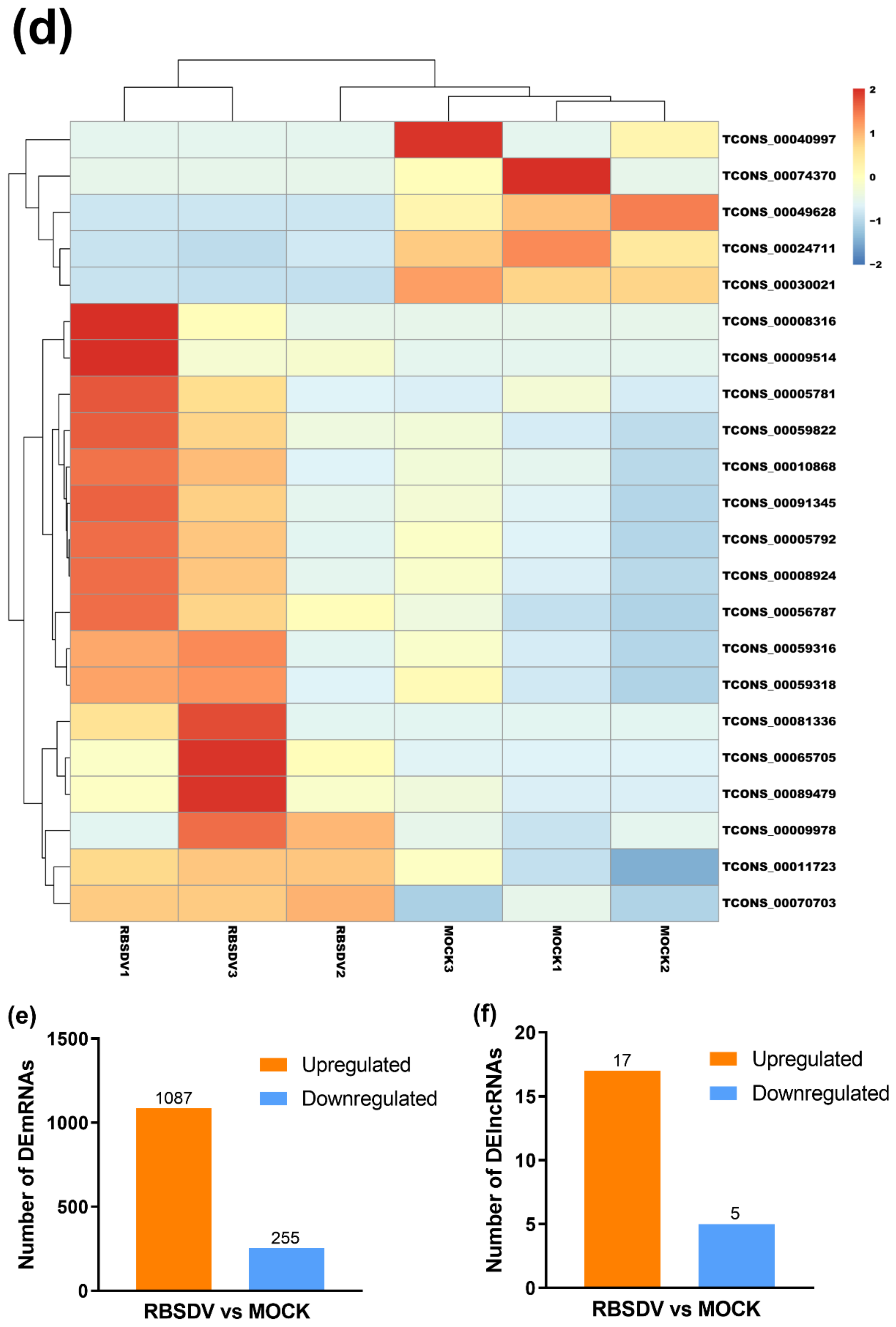 Viruses 12 00951 g001b