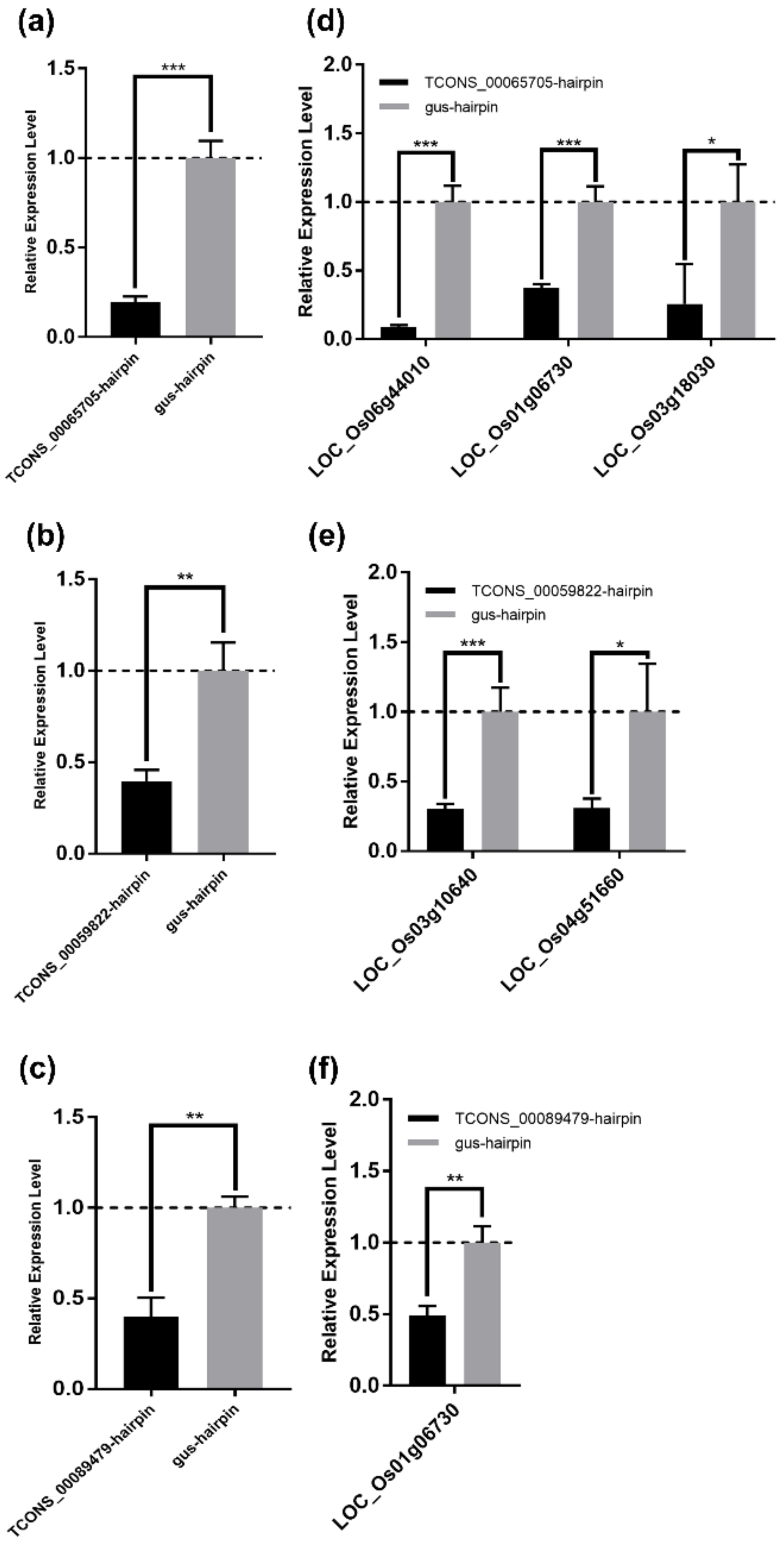 Viruses 12 00951 g008