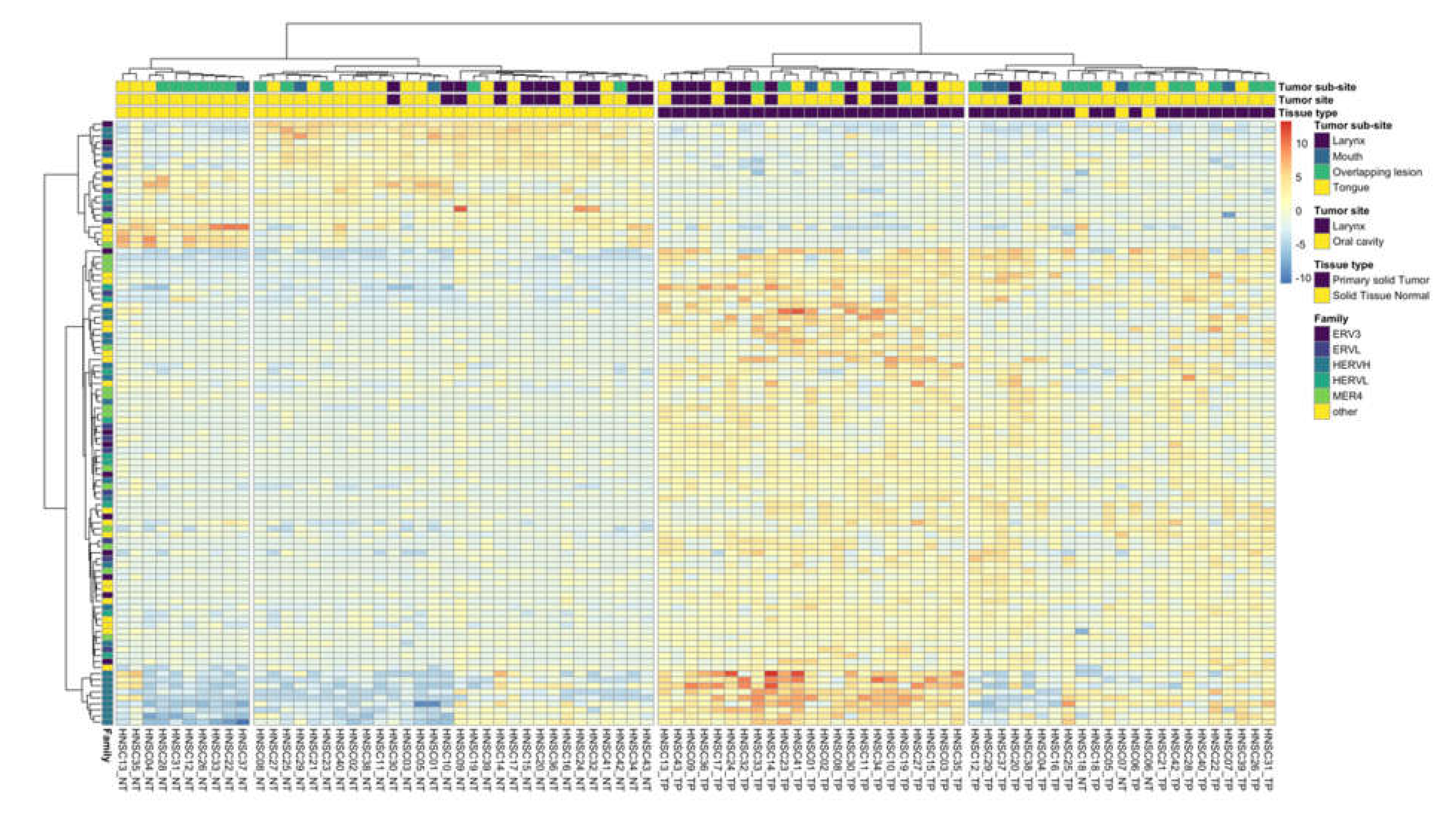 Viruses 12 00956 g002