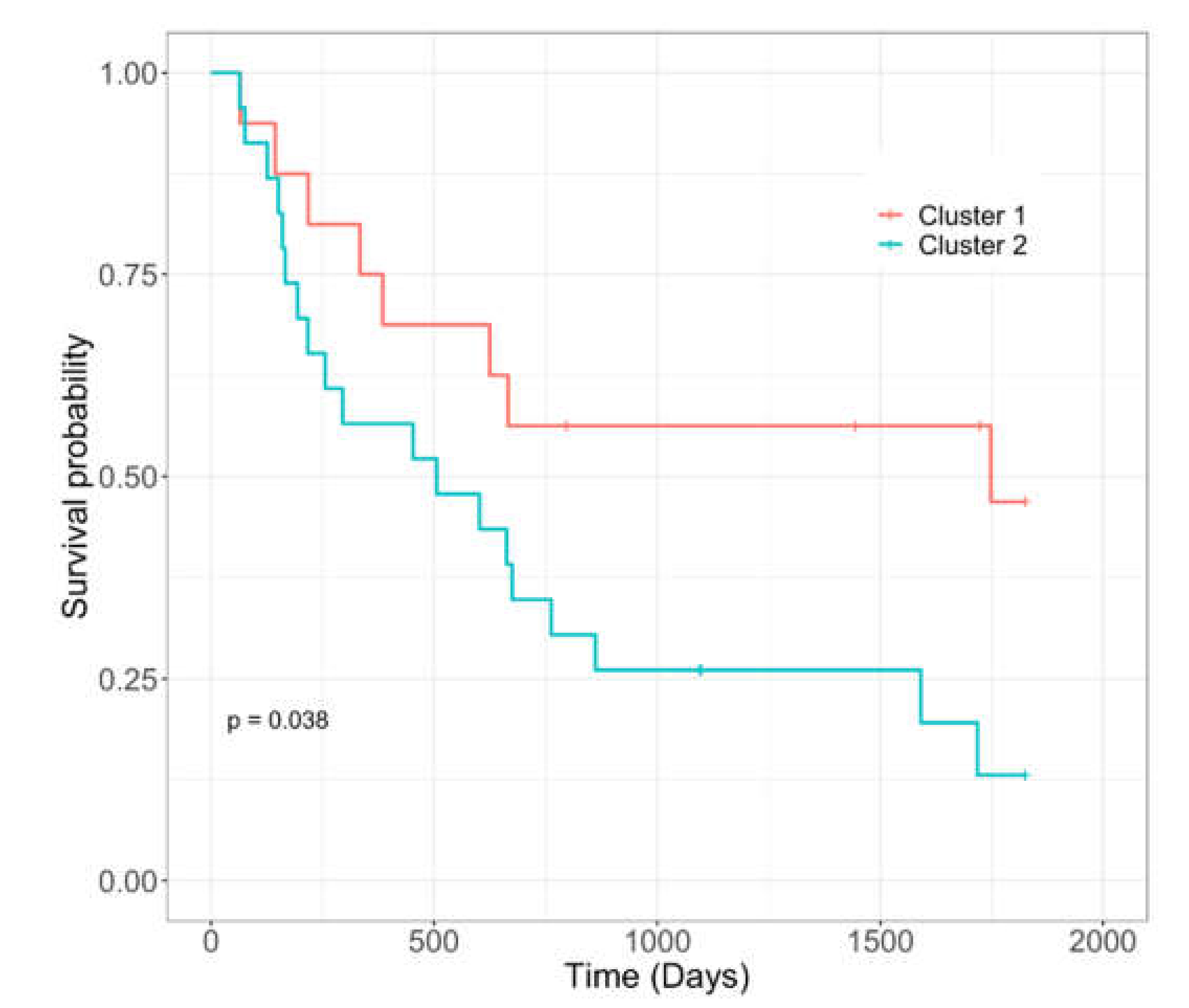 Viruses 12 00956 g004