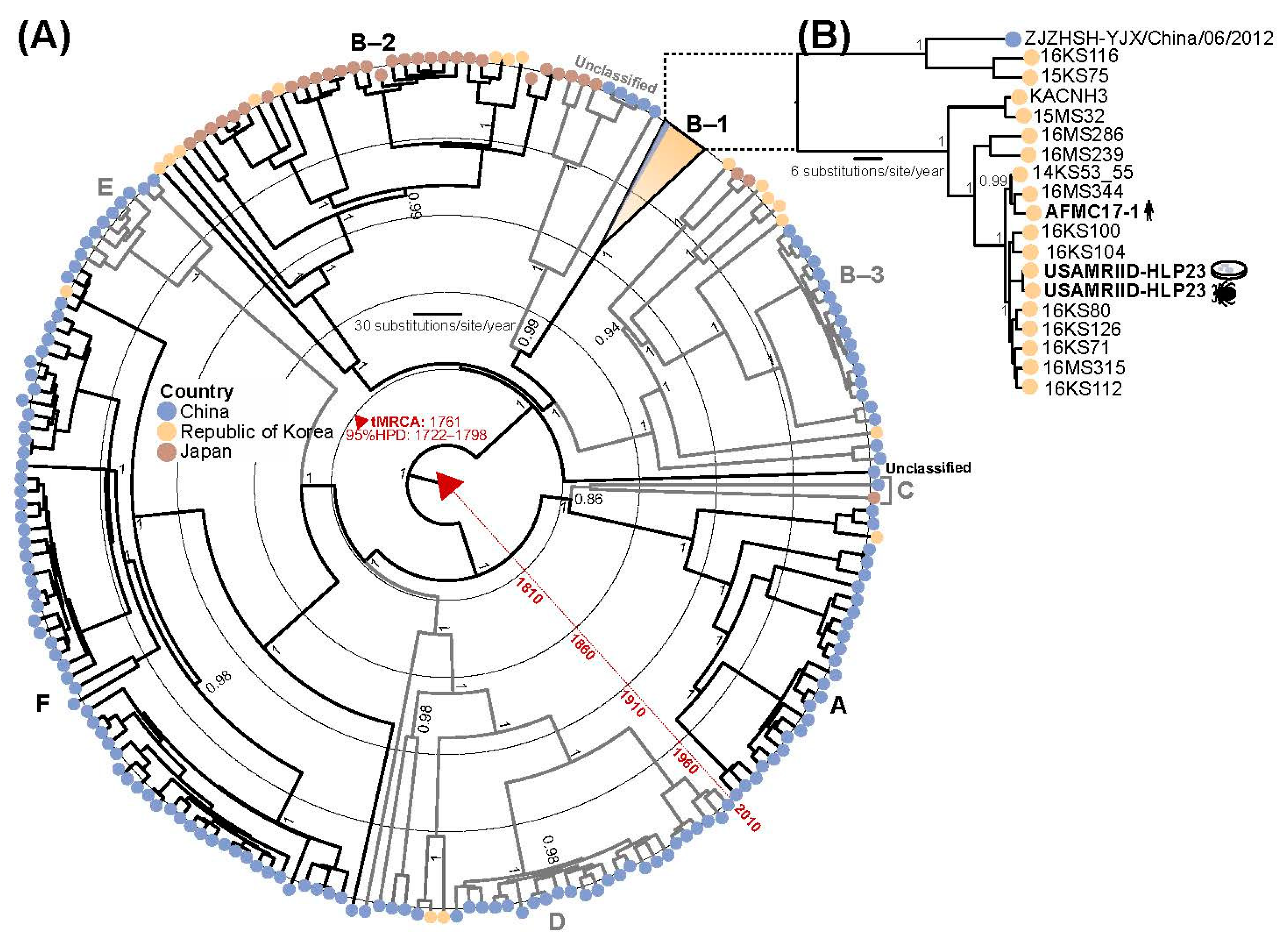 Viruses 12 00958 g004