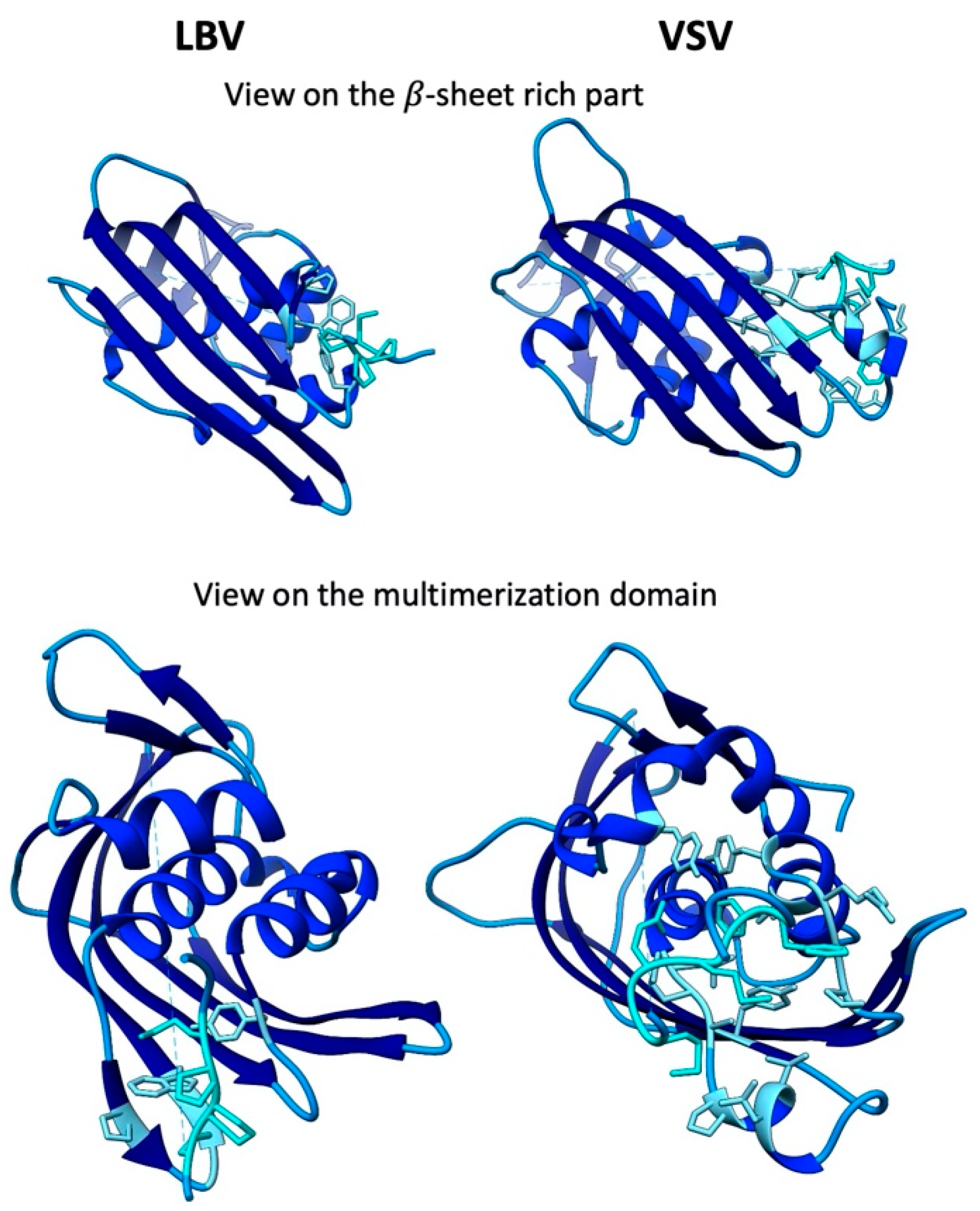 Viruses 12 00959 g003