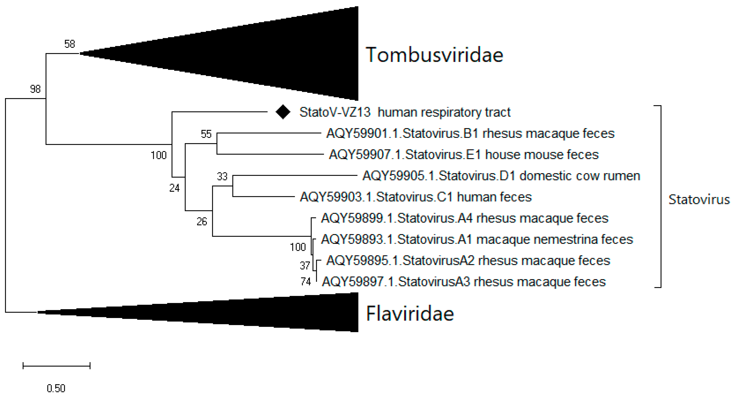 Viruses 12 00960 g004 Viruses 12 00960 g004