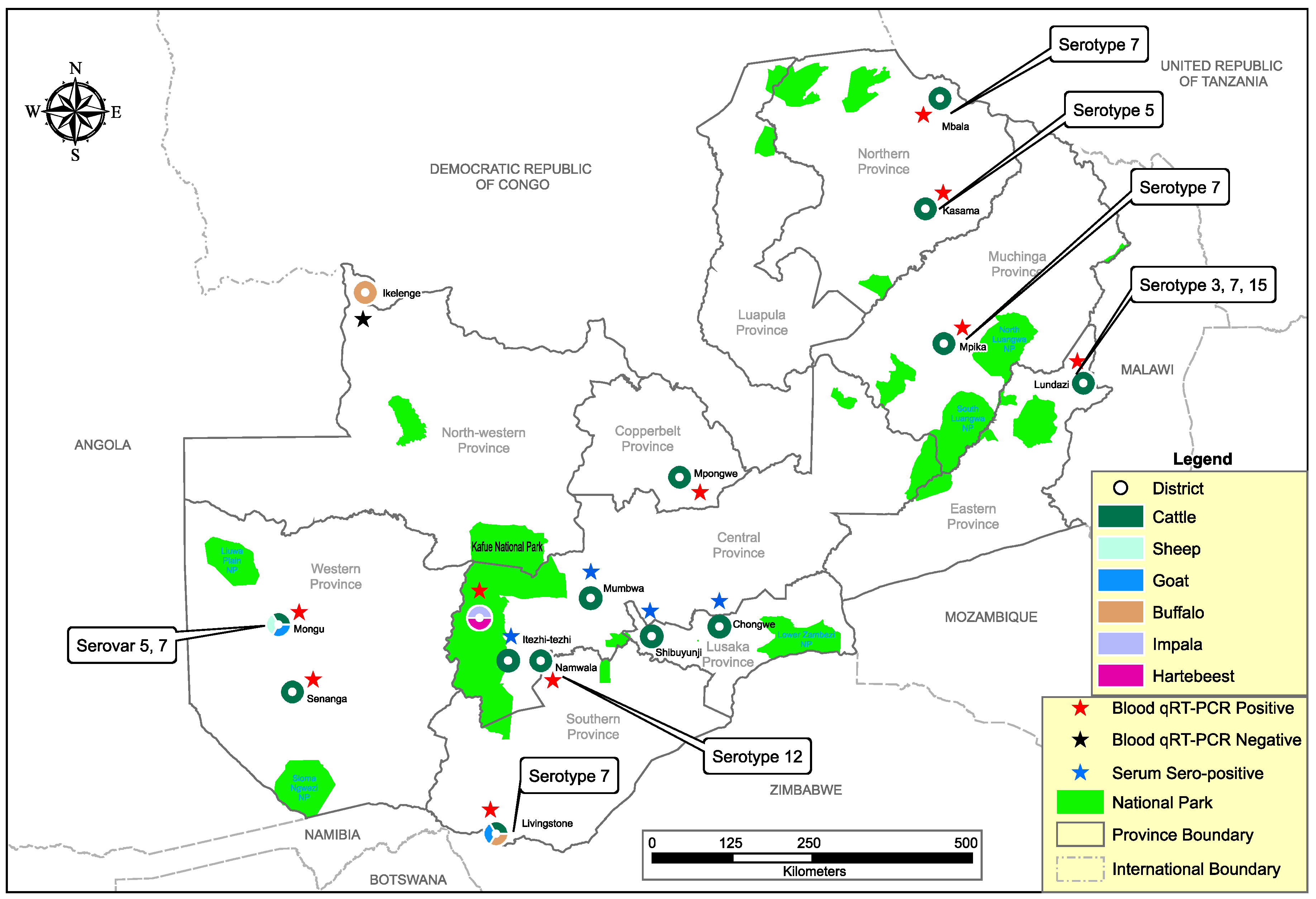 Viruses 12 00963 g001