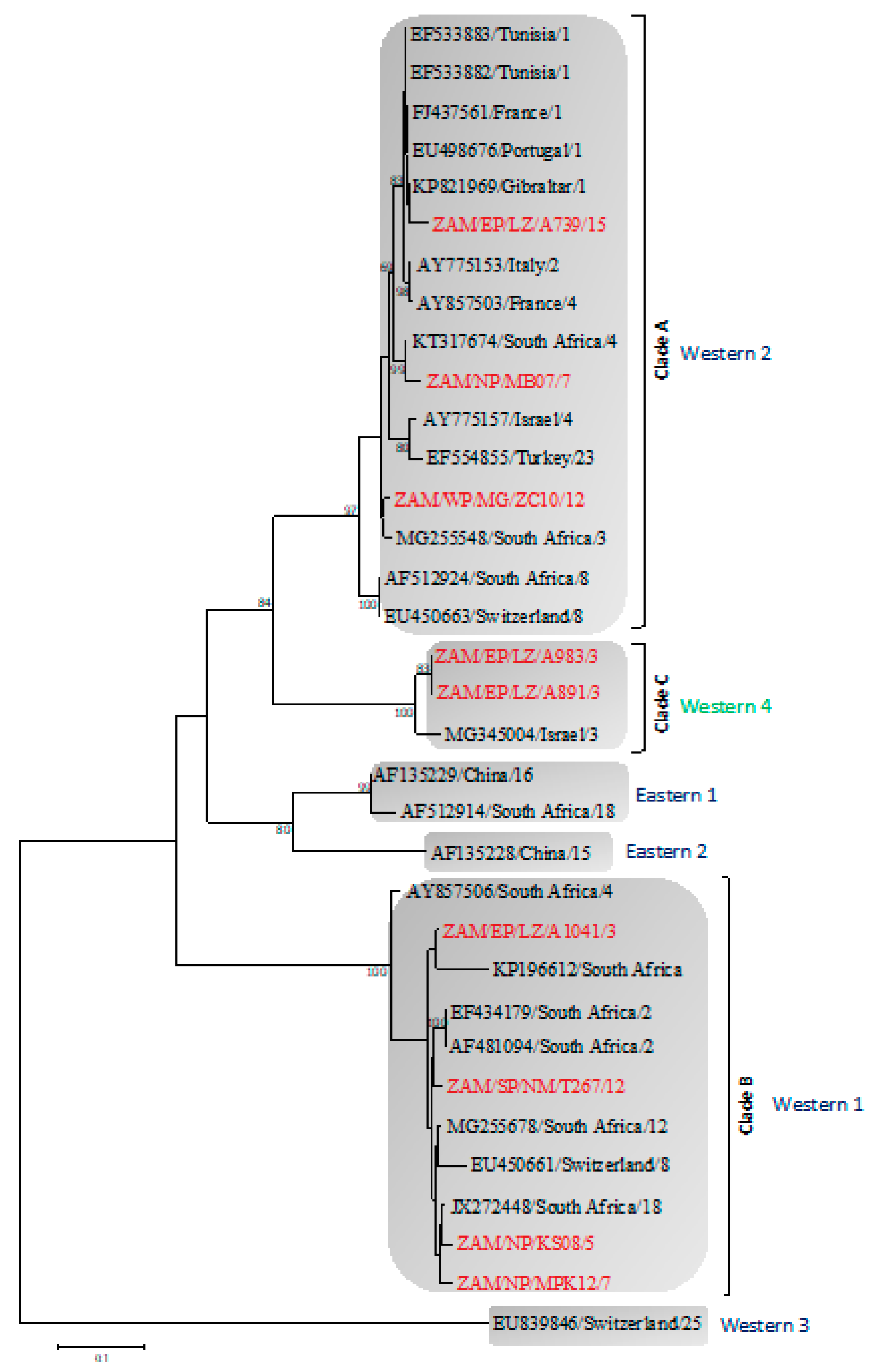 Viruses 12 00963 g003