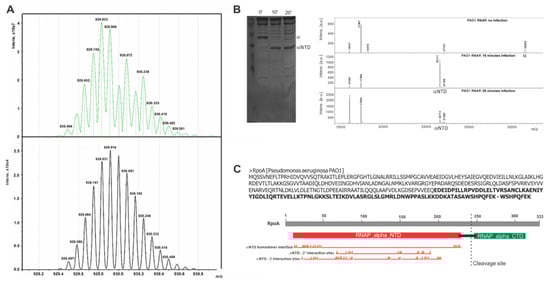 Viruses 12 00976 g0a1