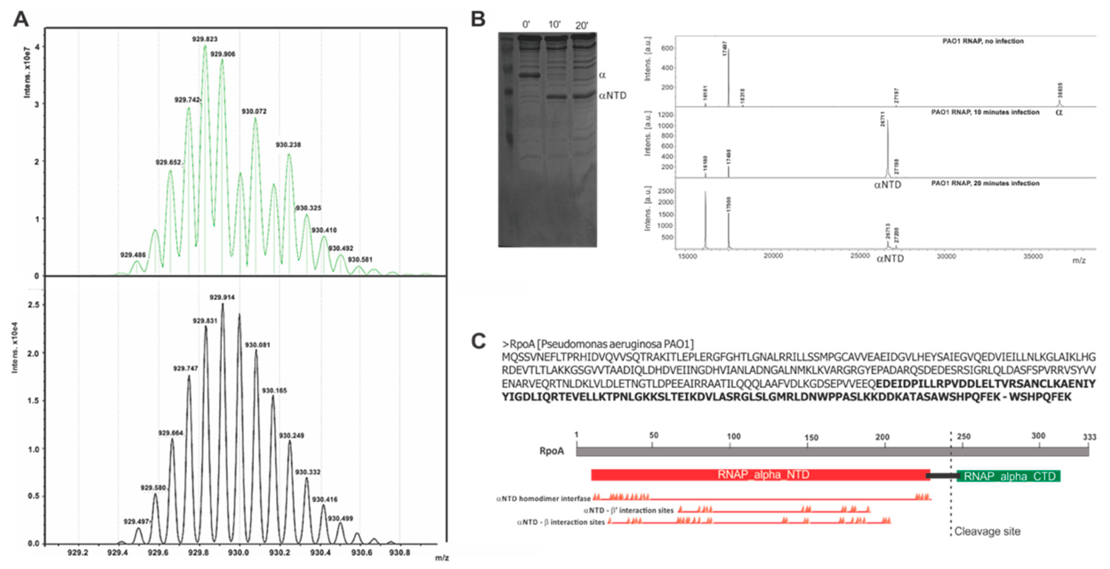 Viruses 12 00976 g0a1