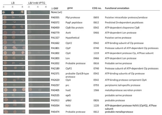 Viruses 12 00976 g0a5