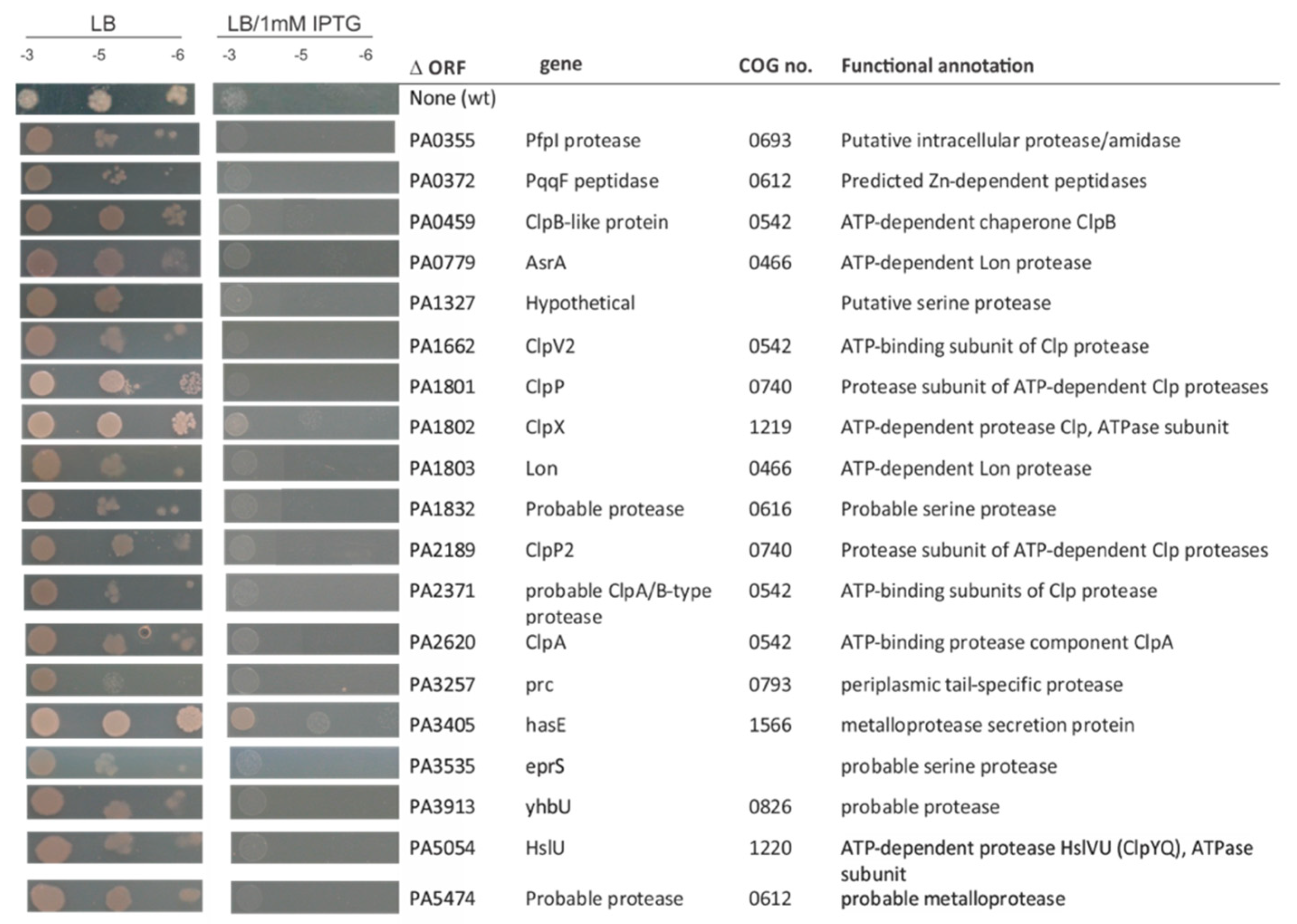 Viruses 12 00976 g0a5