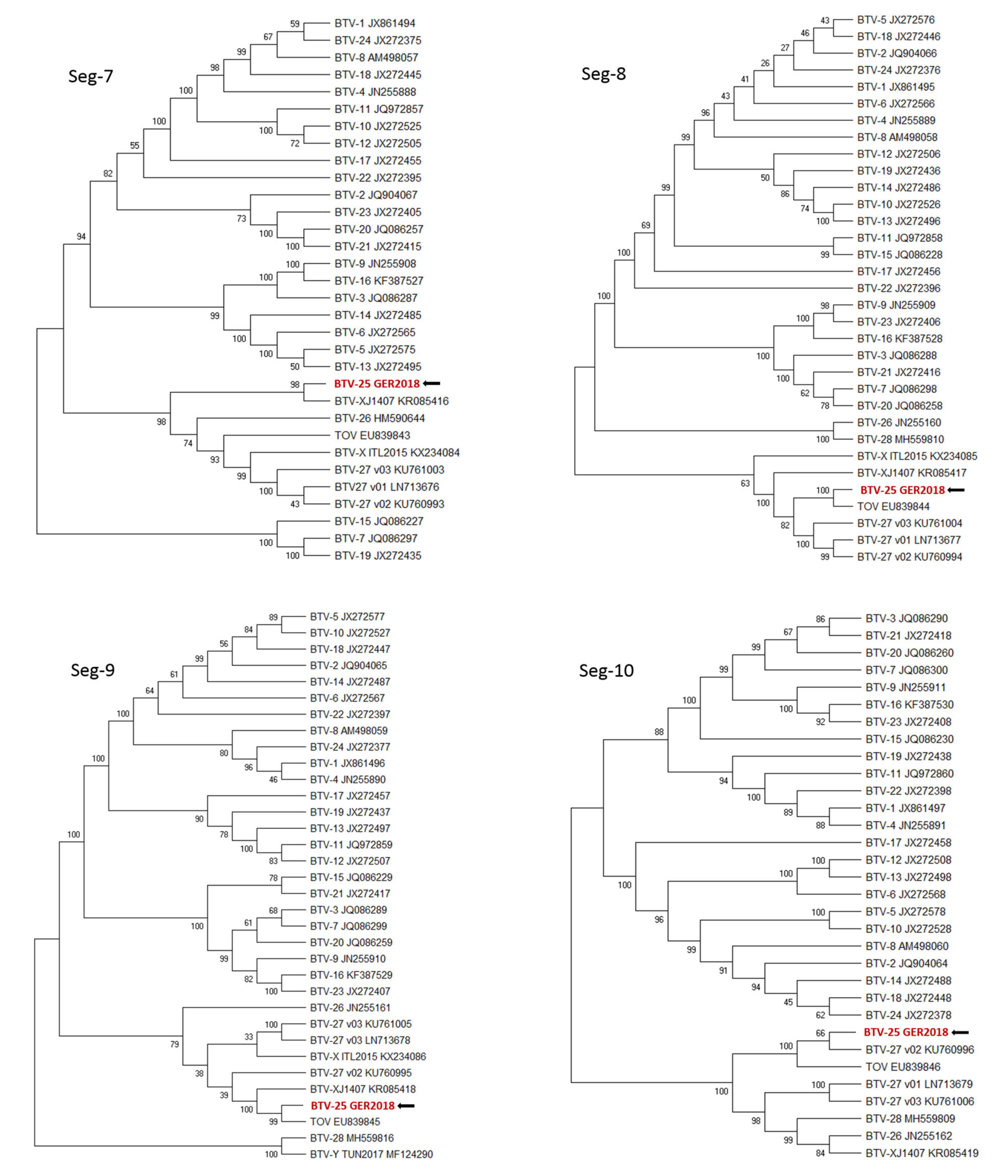 Viruses 12 00983 g001d Viruses 12 00983 g001d