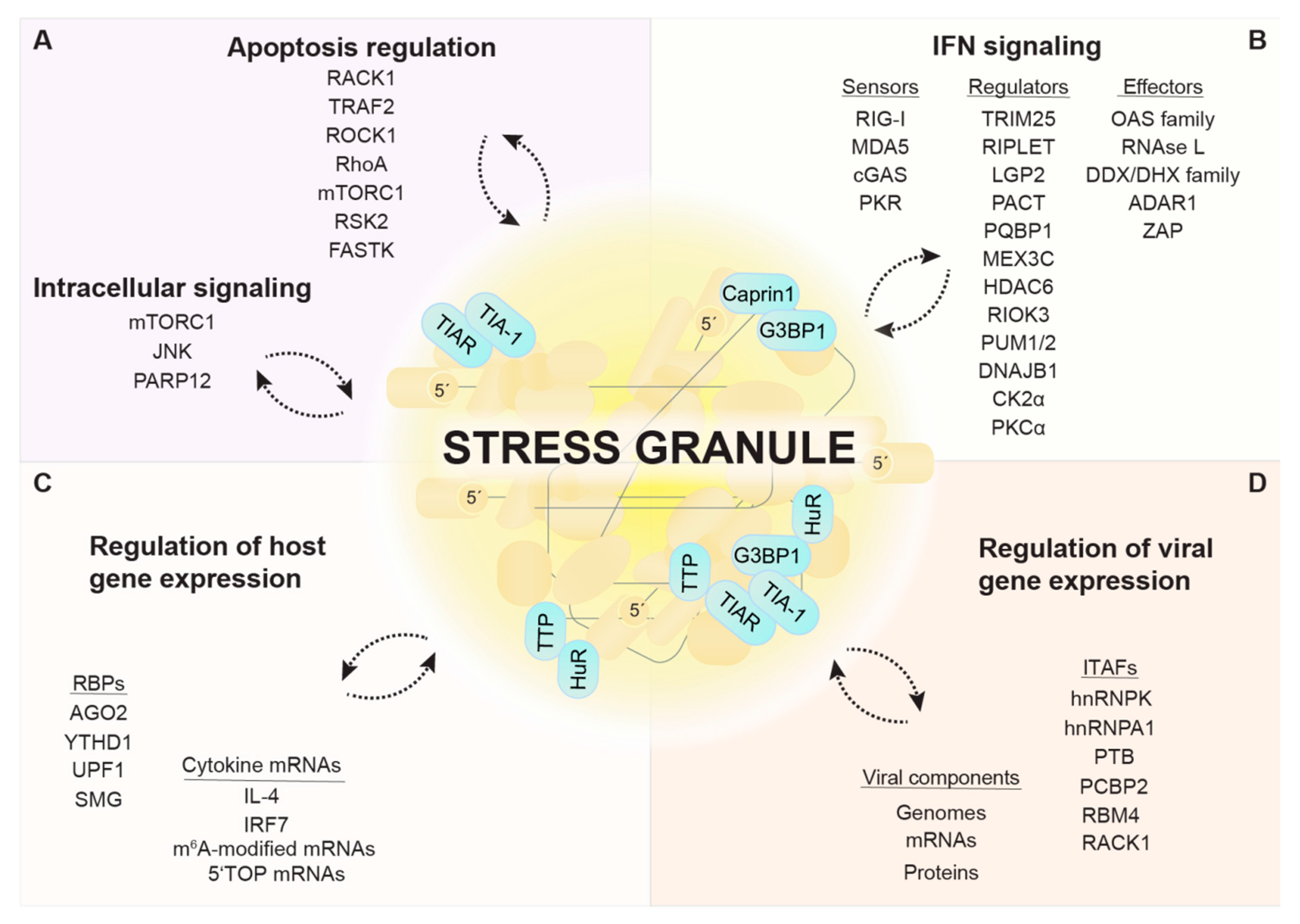 Viruses 12 00984 g002 Viruses 12 00984 g002