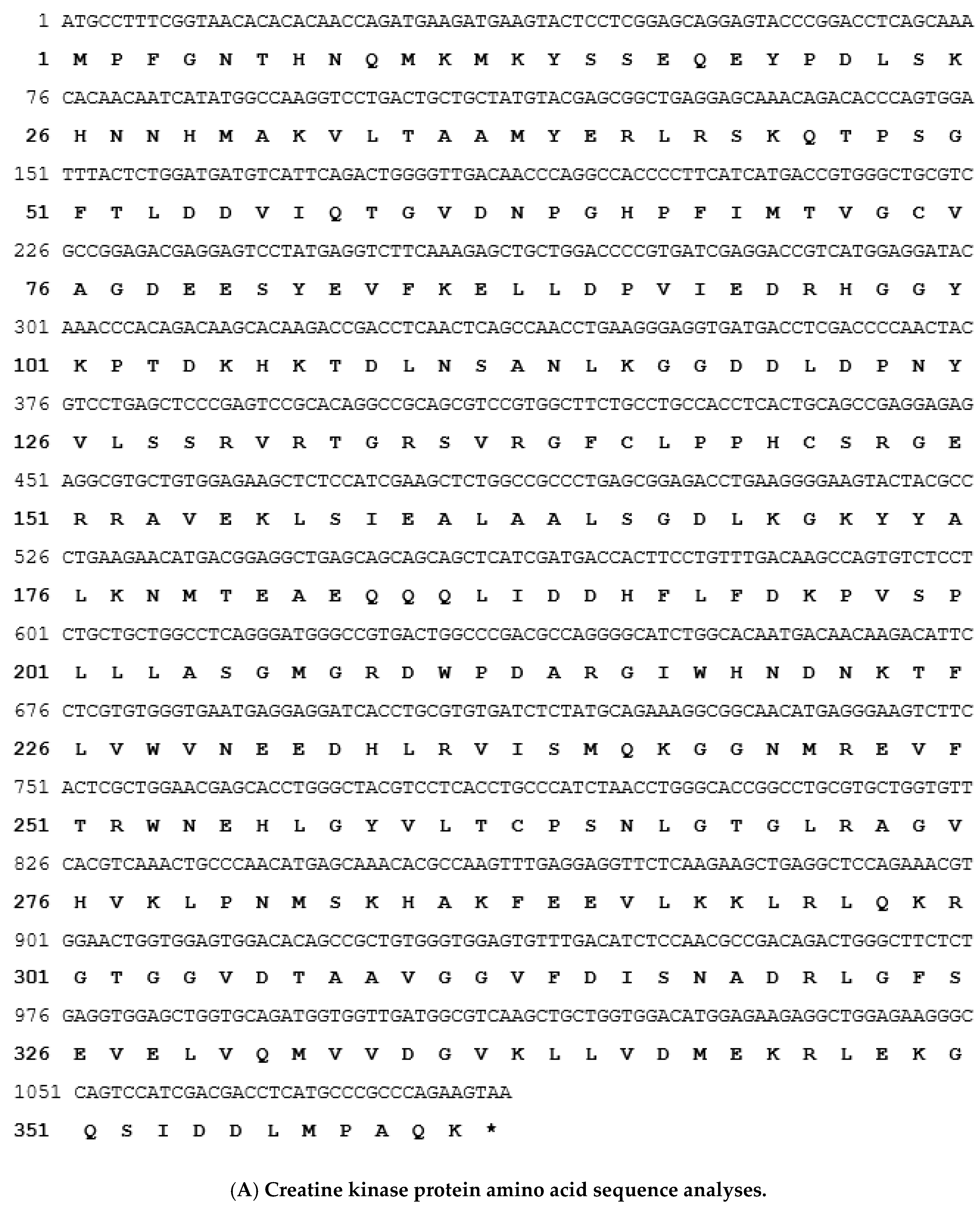 Viruses 12 00985 g002a Viruses 12 00985 g002a