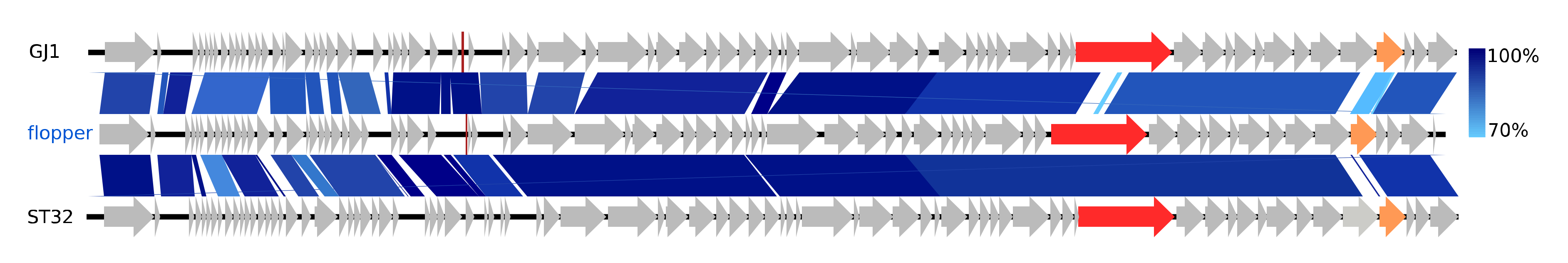 Viruses 12 00986 g004