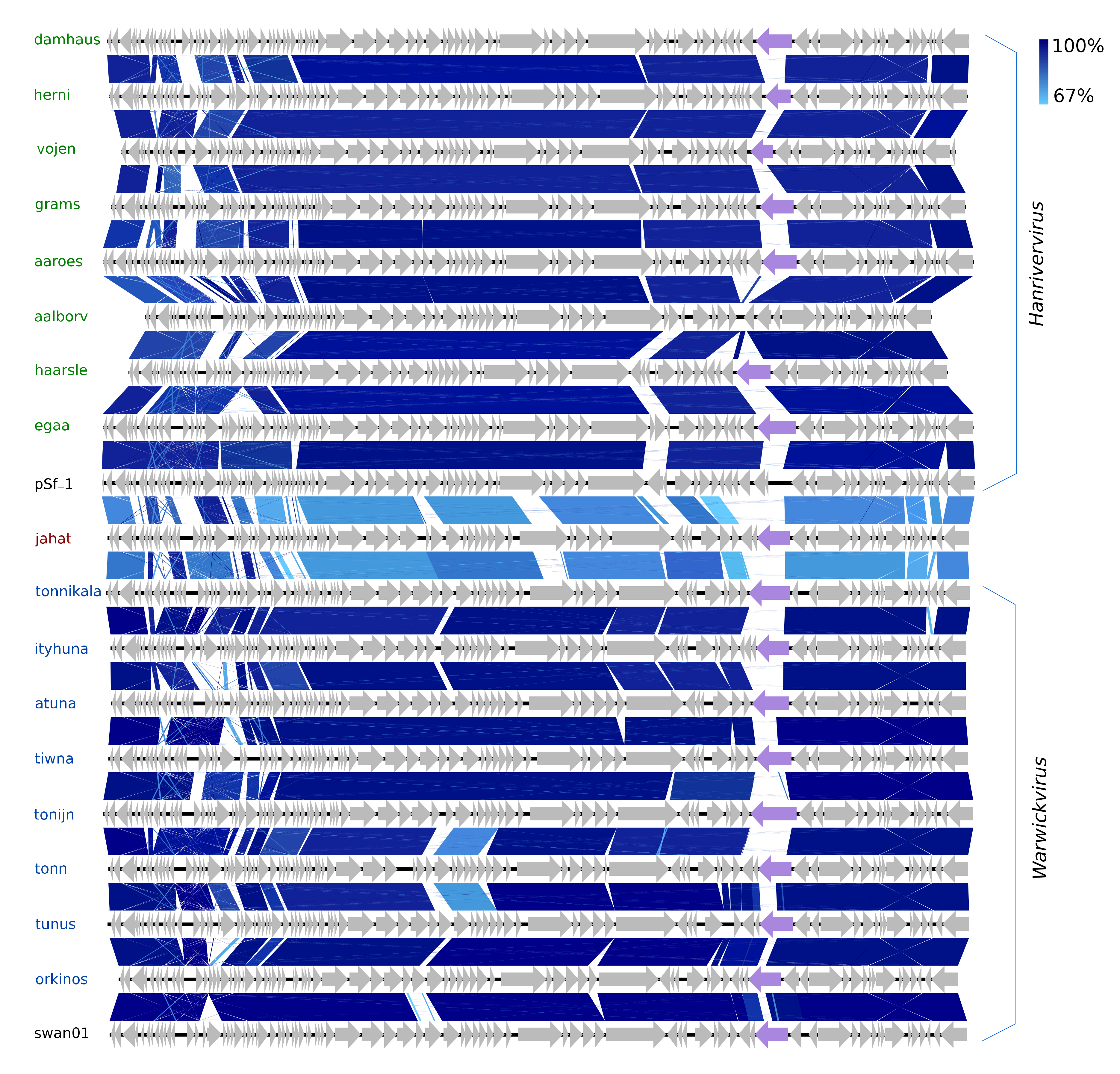 Viruses 12 00986 g005