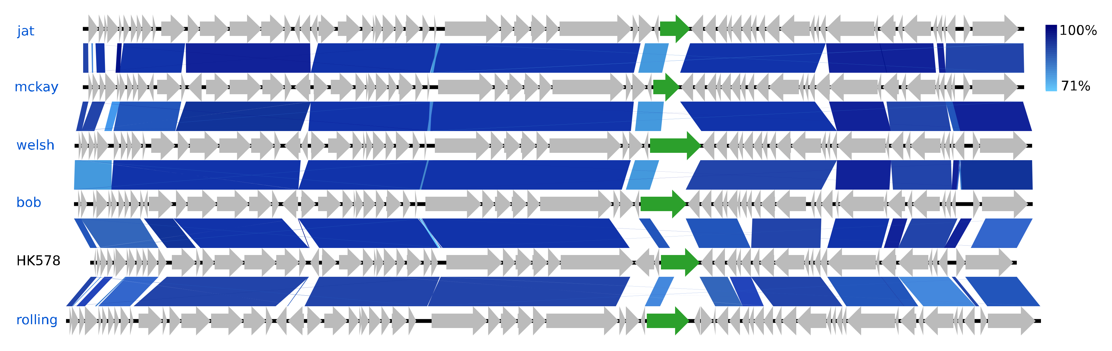 Viruses 12 00986 g006