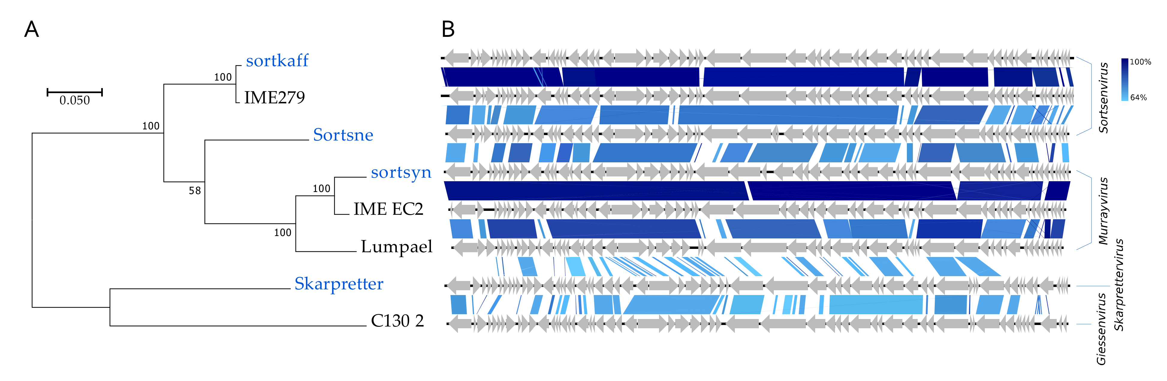 Viruses 12 00986 g008
