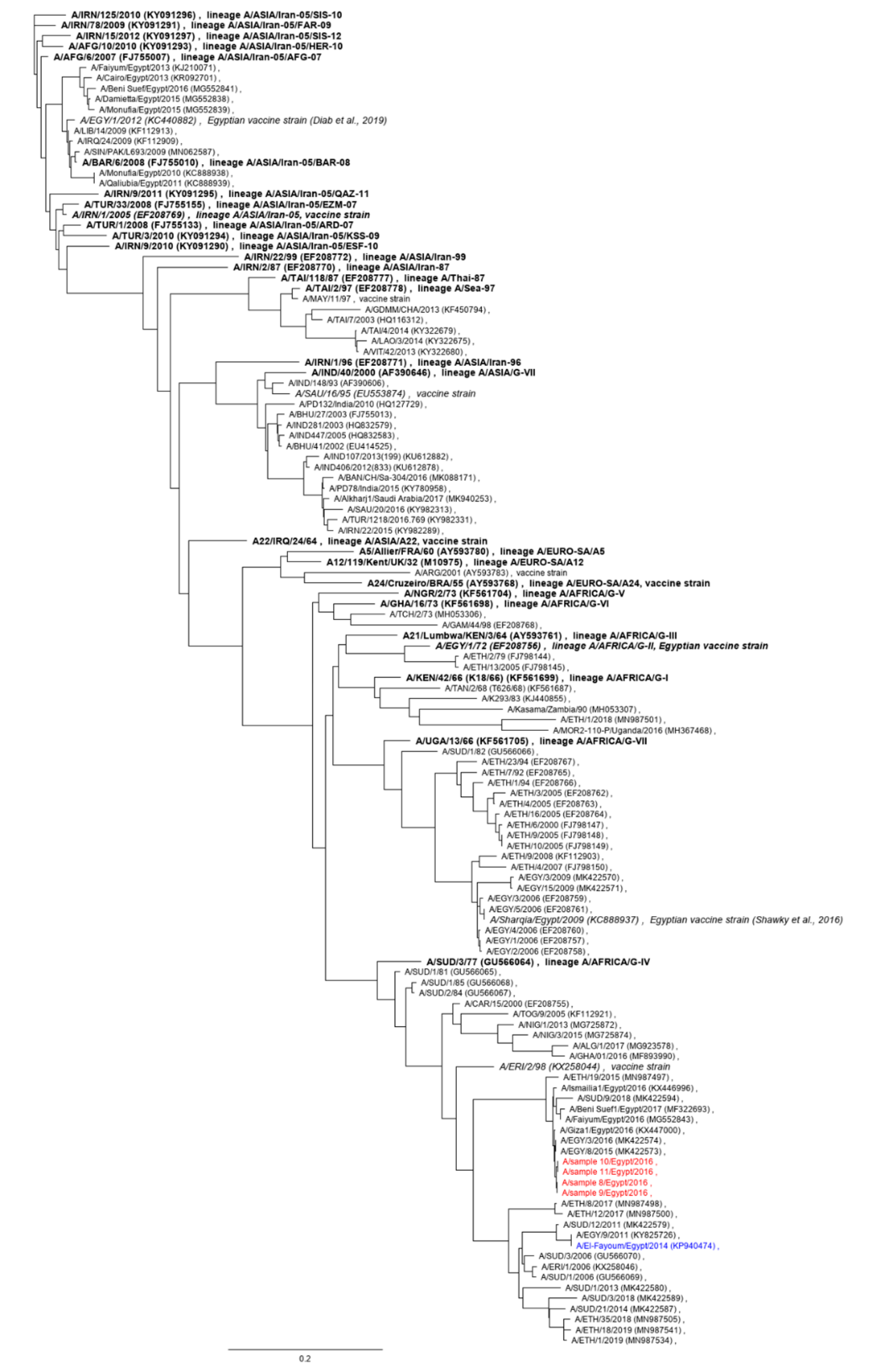 Viruses 12 00990 g001 Viruses 12 00990 g001