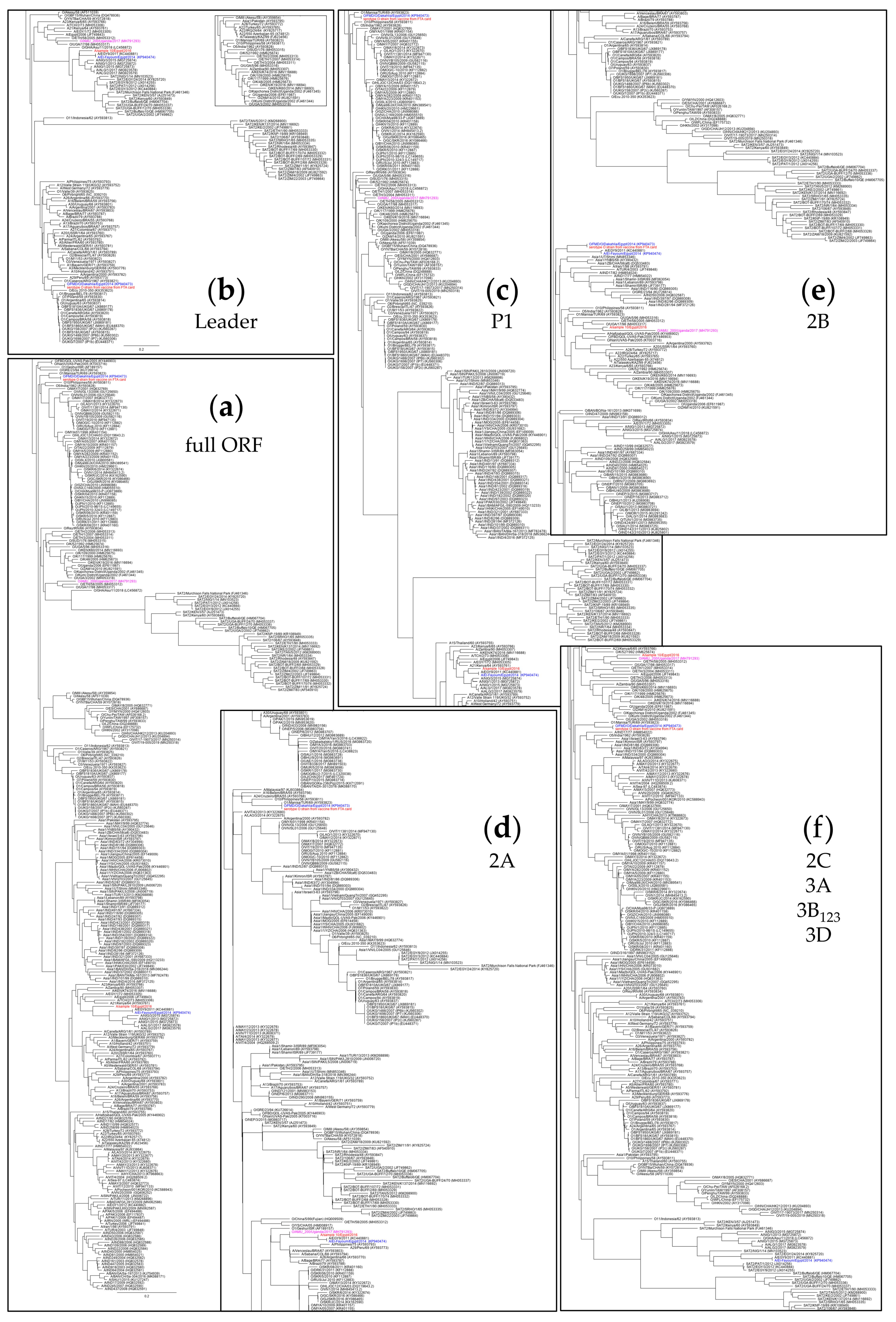 Viruses 12 00990 g002 Viruses 12 00990 g002