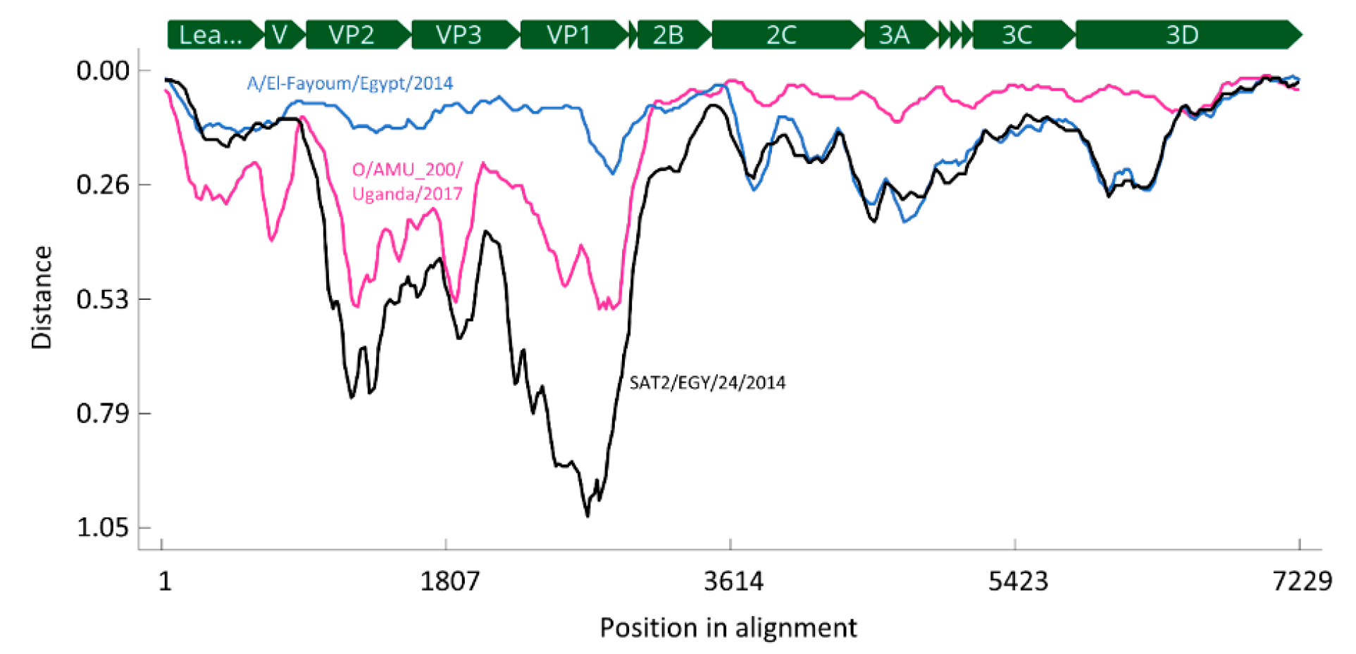 Viruses 12 00990 g003 Viruses 12 00990 g003