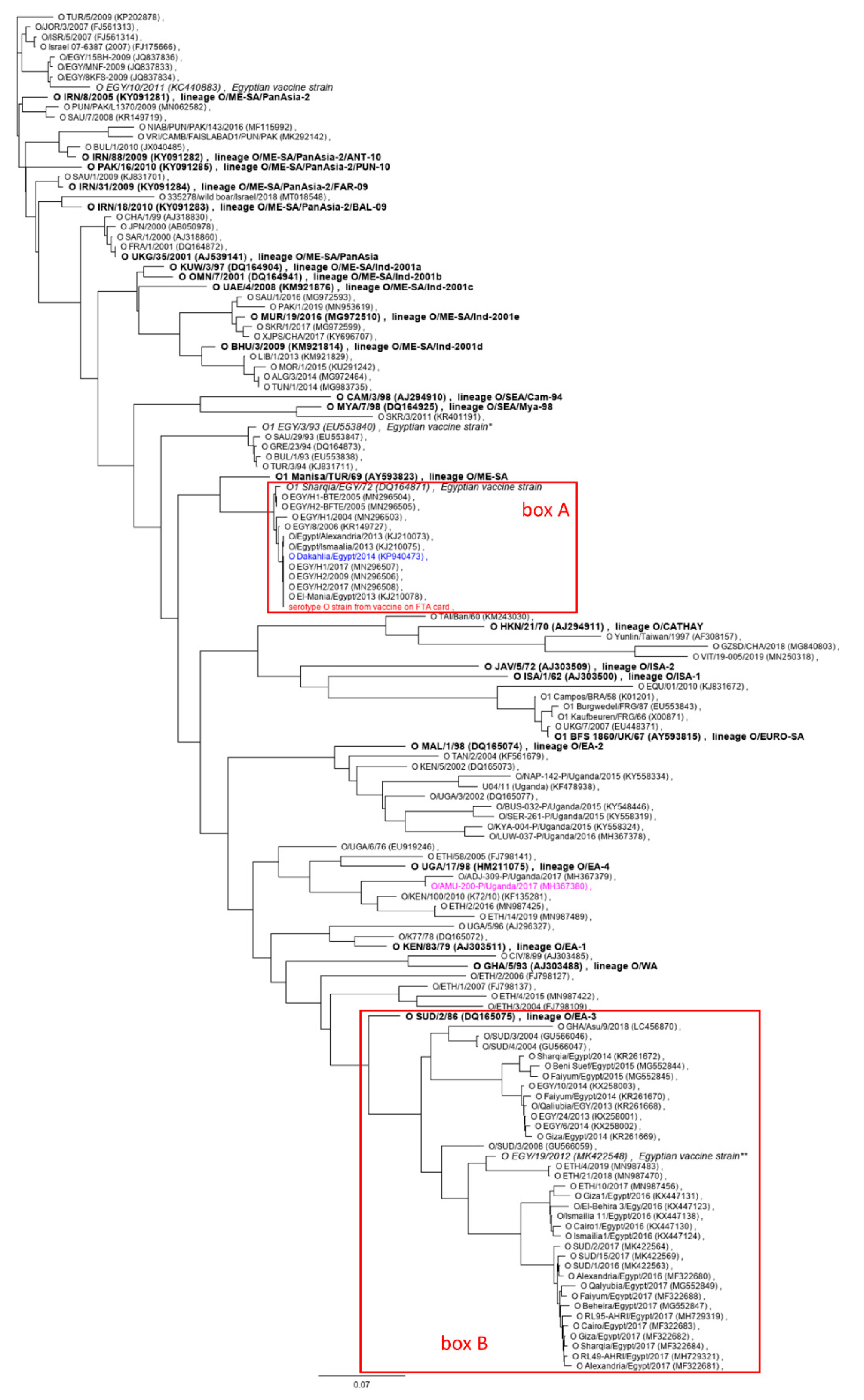 Viruses 12 00990 g004 Viruses 12 00990 g004