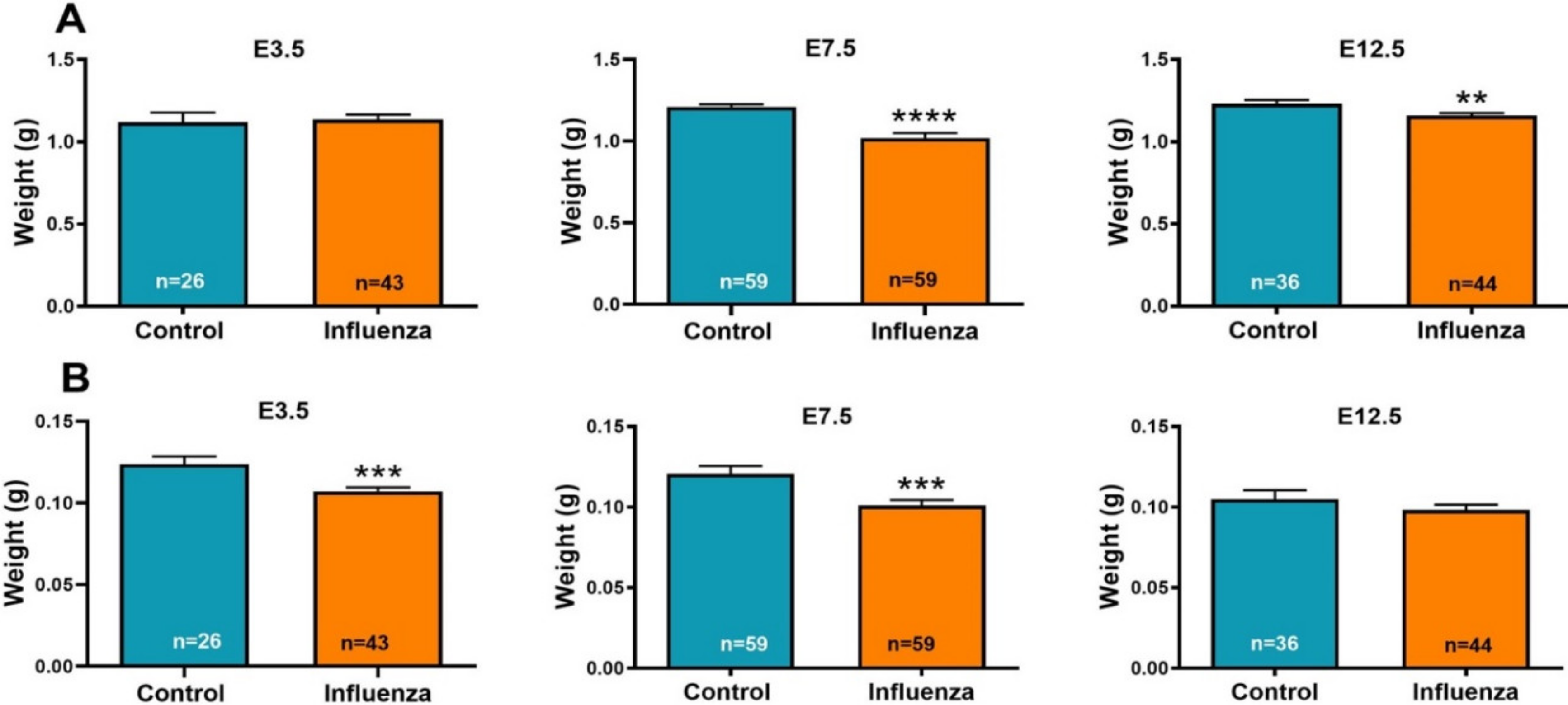 Viruses 12 01003 g001 Viruses 12 01003 g001