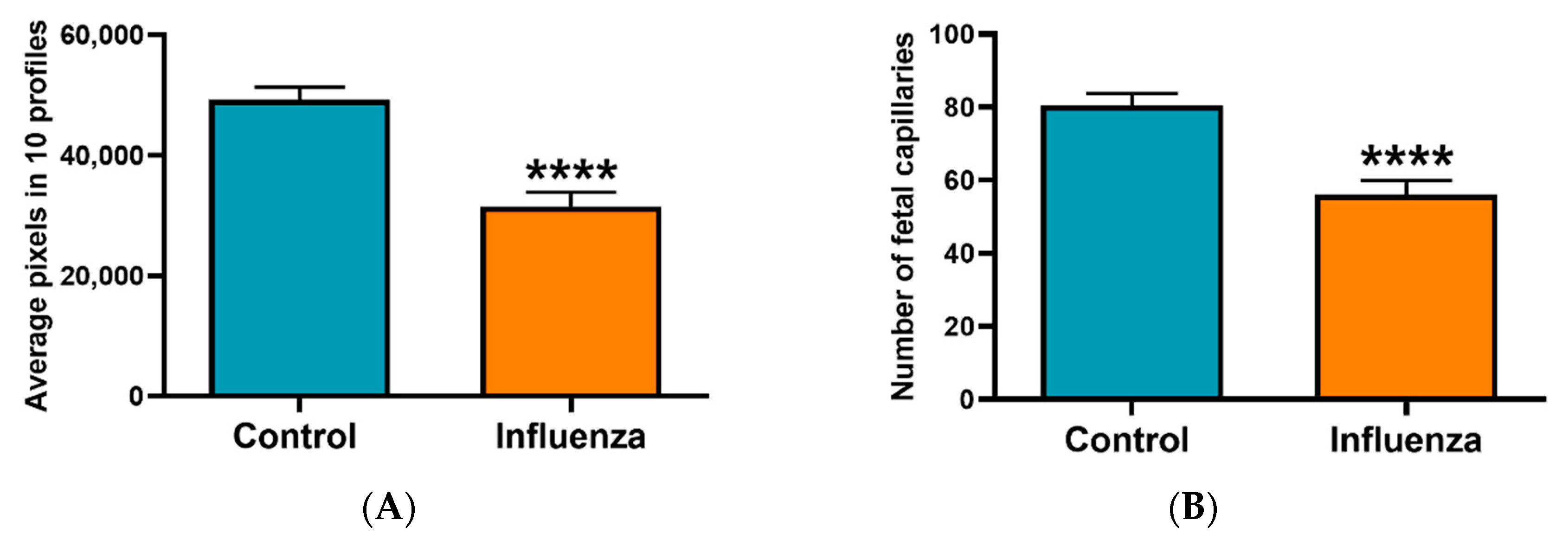 Viruses 12 01003 g002 Viruses 12 01003 g002