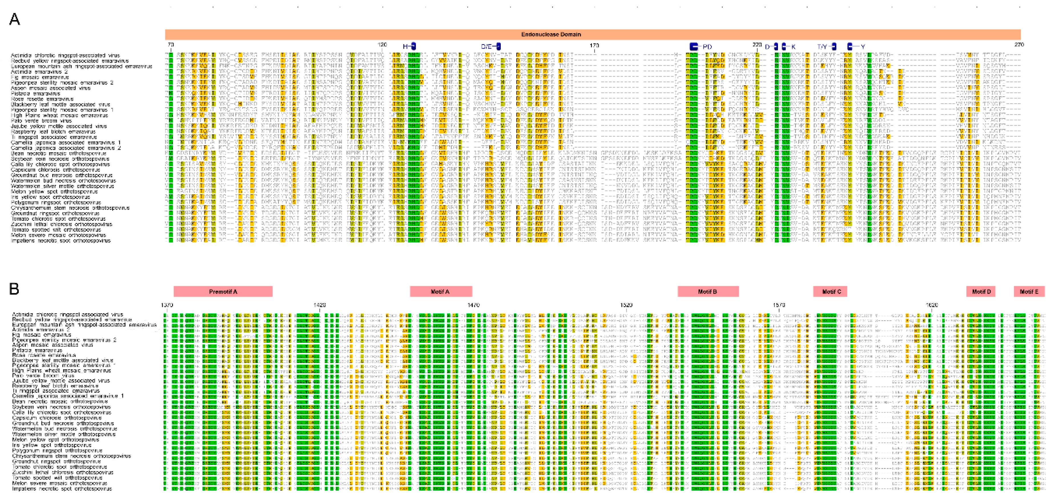 Viruses 12 01010 g002 Viruses 12 01010 g002