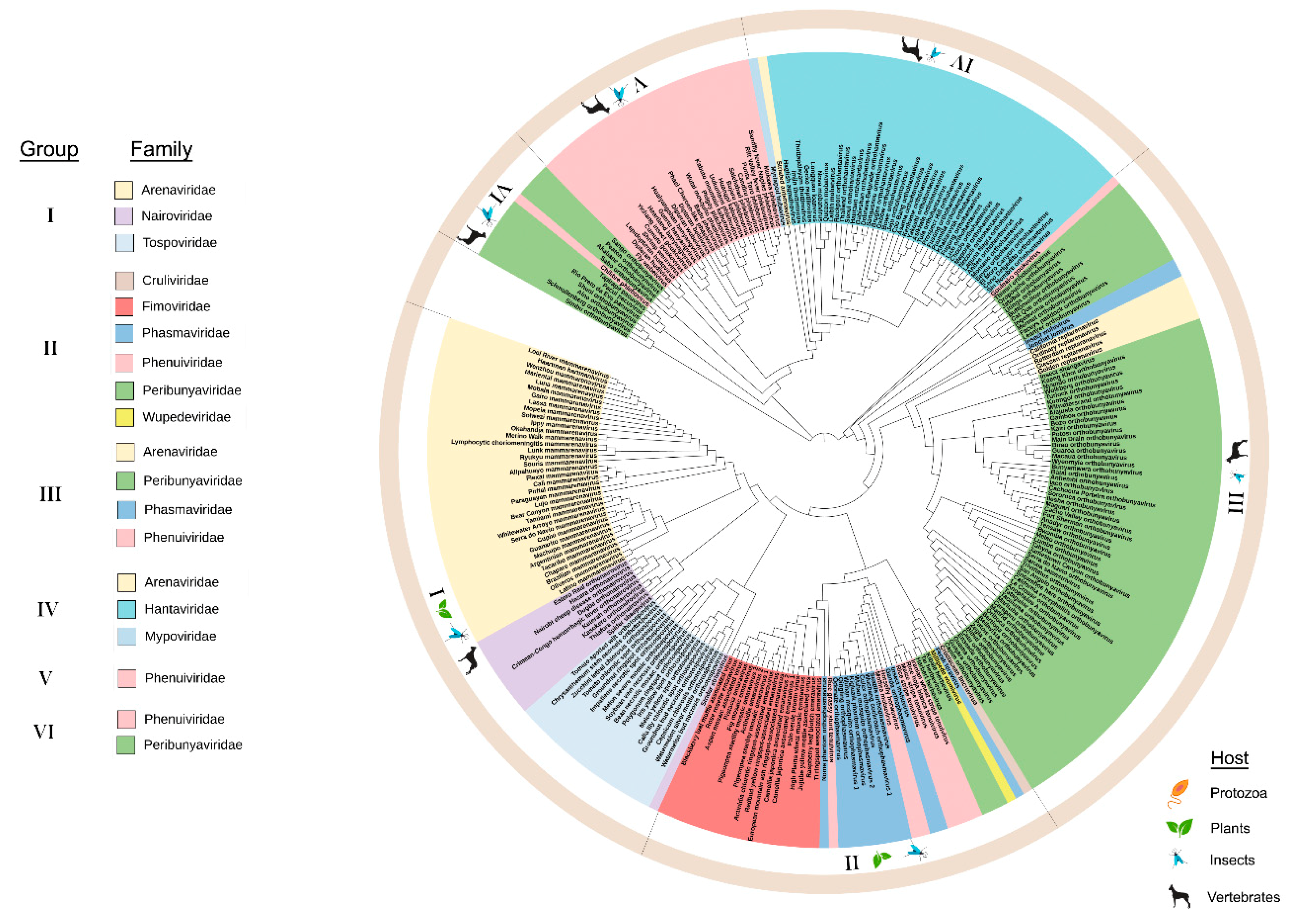 Viruses 12 01010 g003 Viruses 12 01010 g003