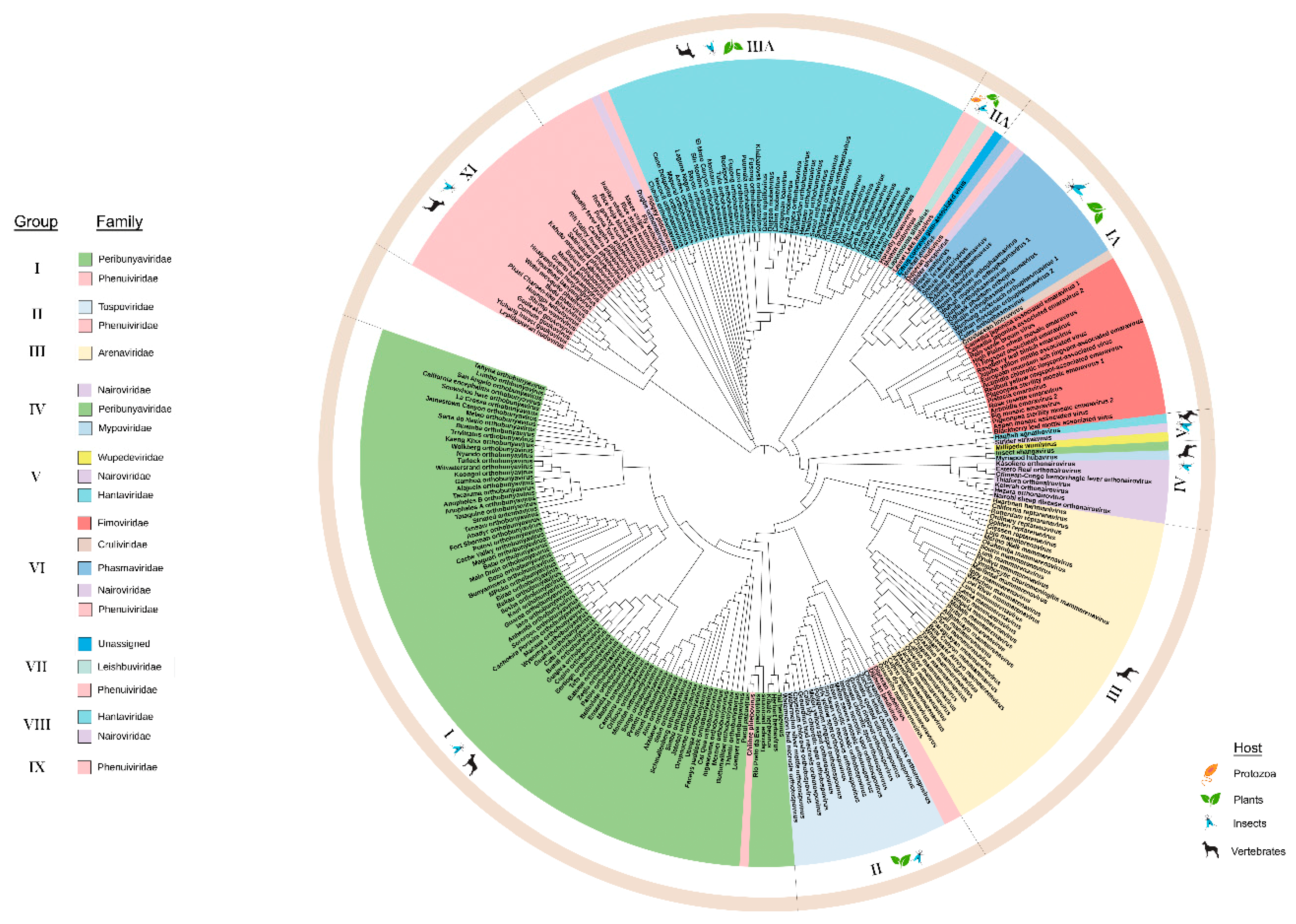 Viruses 12 01010 g004 Viruses 12 01010 g004