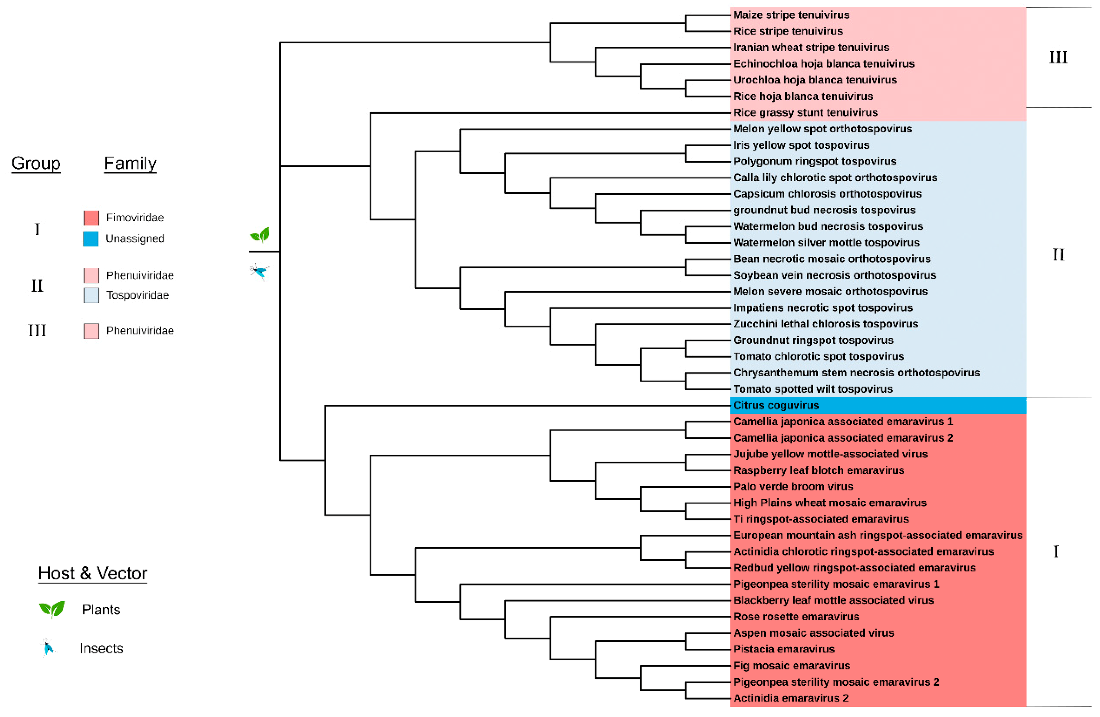 Viruses 12 01010 g006 Viruses 12 01010 g006