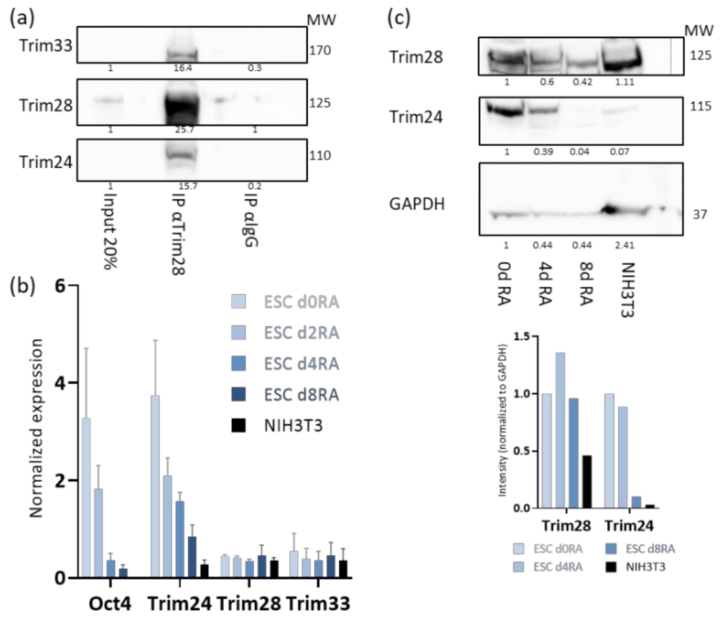 Viruses 12 01015 g001 Viruses 12 01015 g001