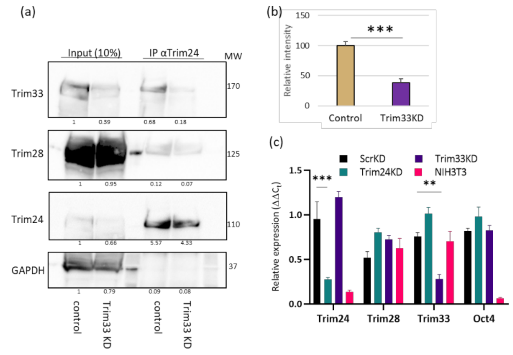Viruses 12 01015 g002 Viruses 12 01015 g002